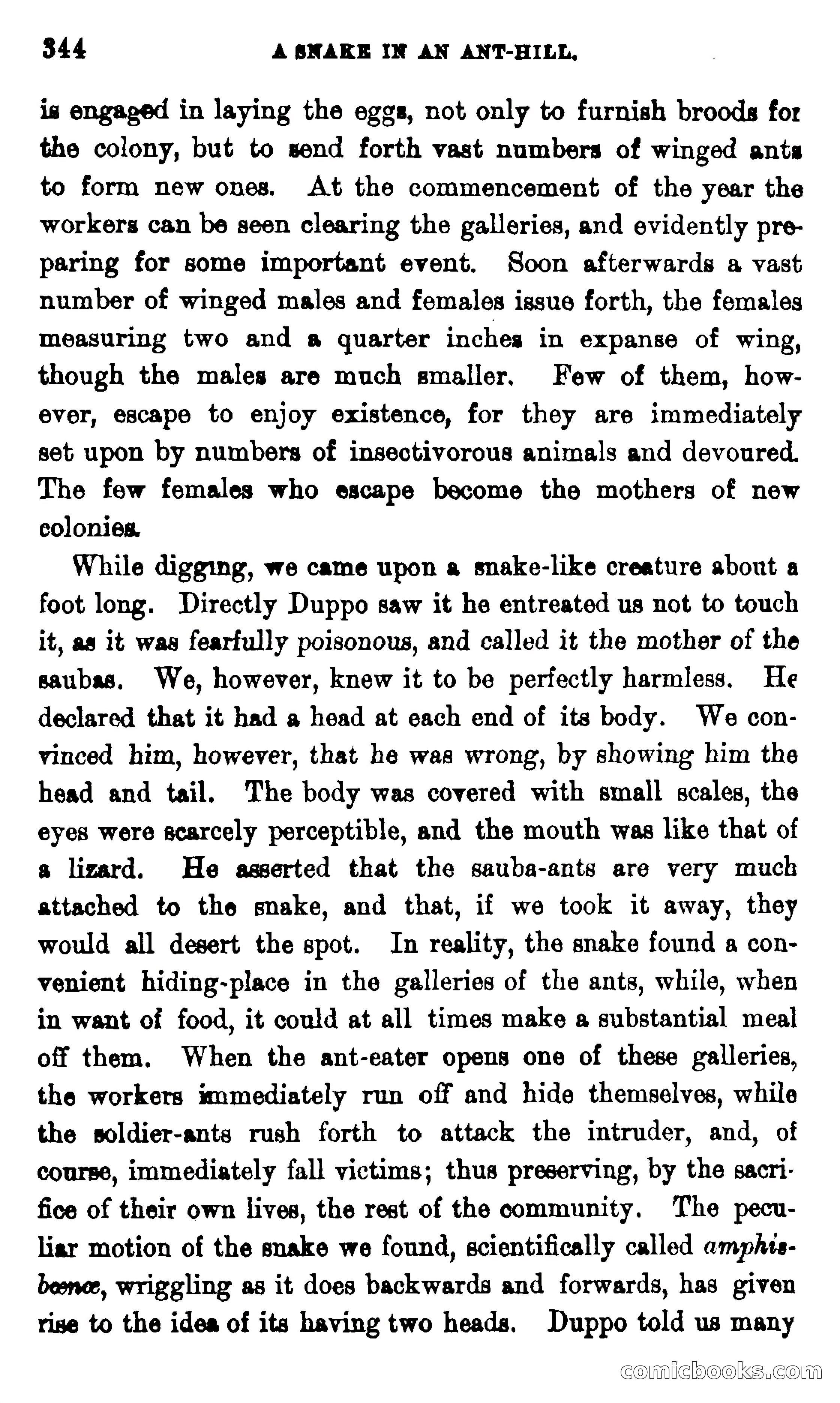 On the Banks of the Amazon — page 338 of 400