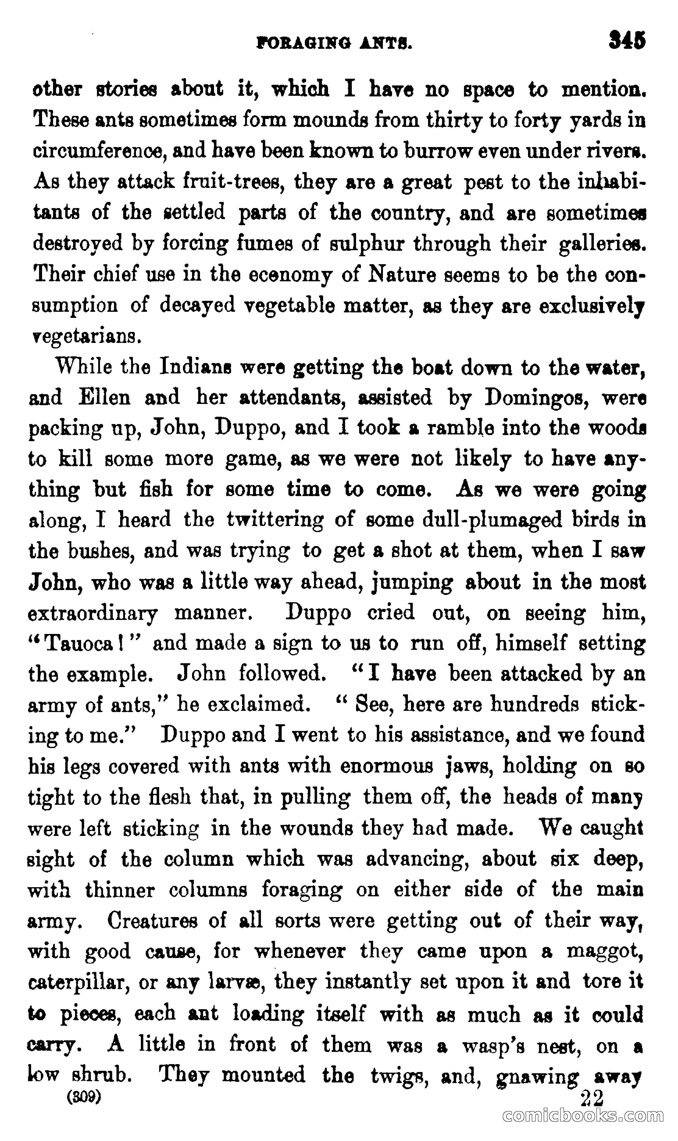 On the Banks of the Amazon — page 339 of 400