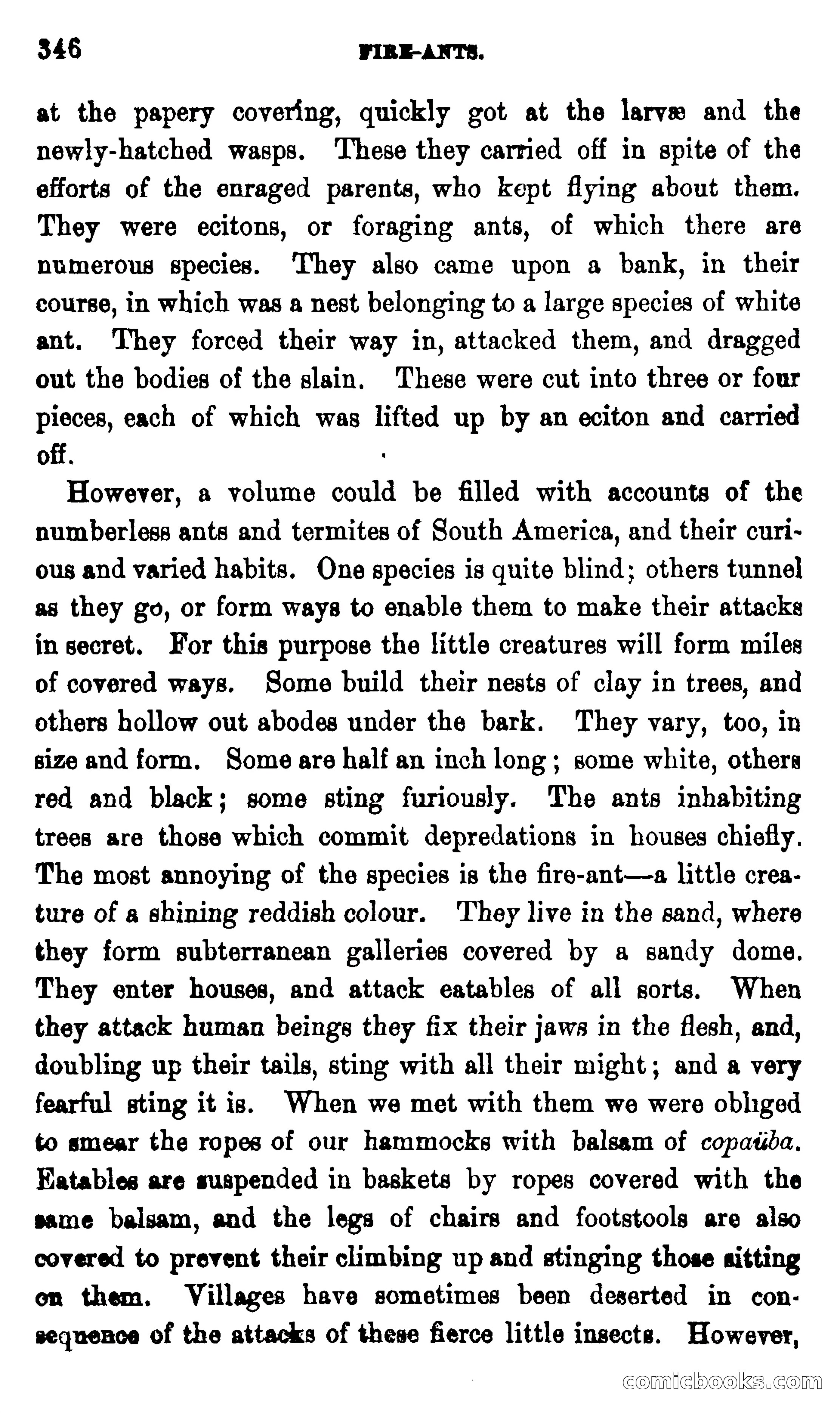On the Banks of the Amazon — page 340 of 400