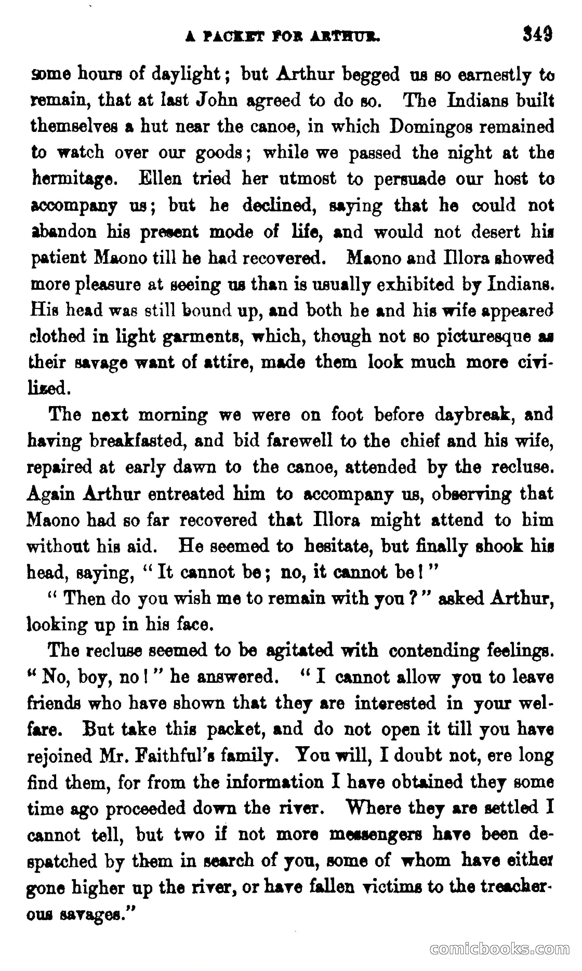 On the Banks of the Amazon — page 343 of 400