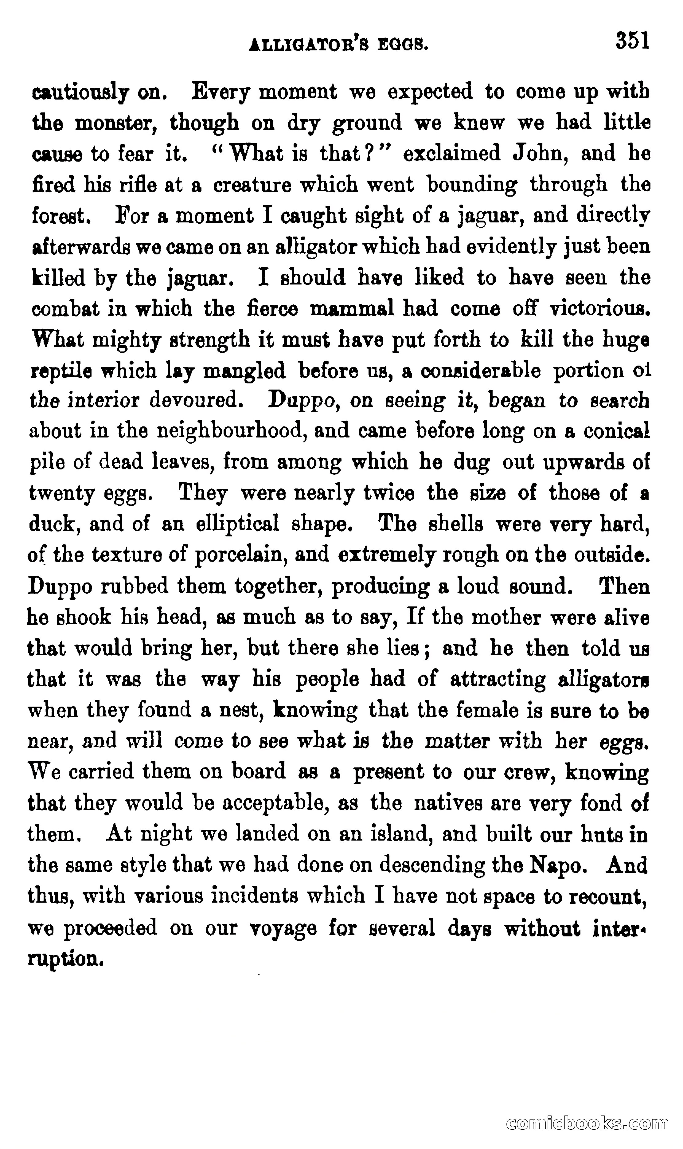 On the Banks of the Amazon — page 345 of 400