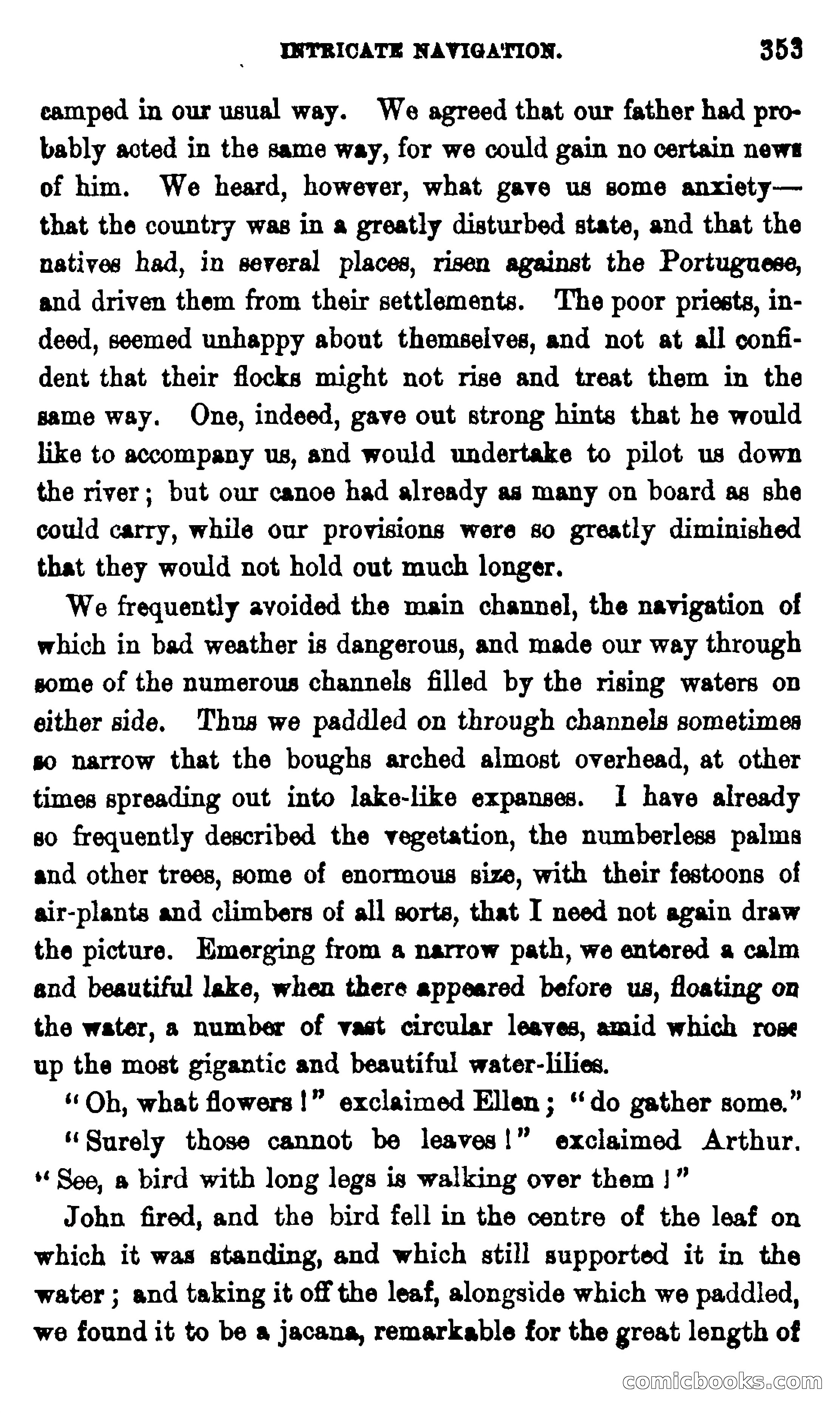 On the Banks of the Amazon — page 347 of 400