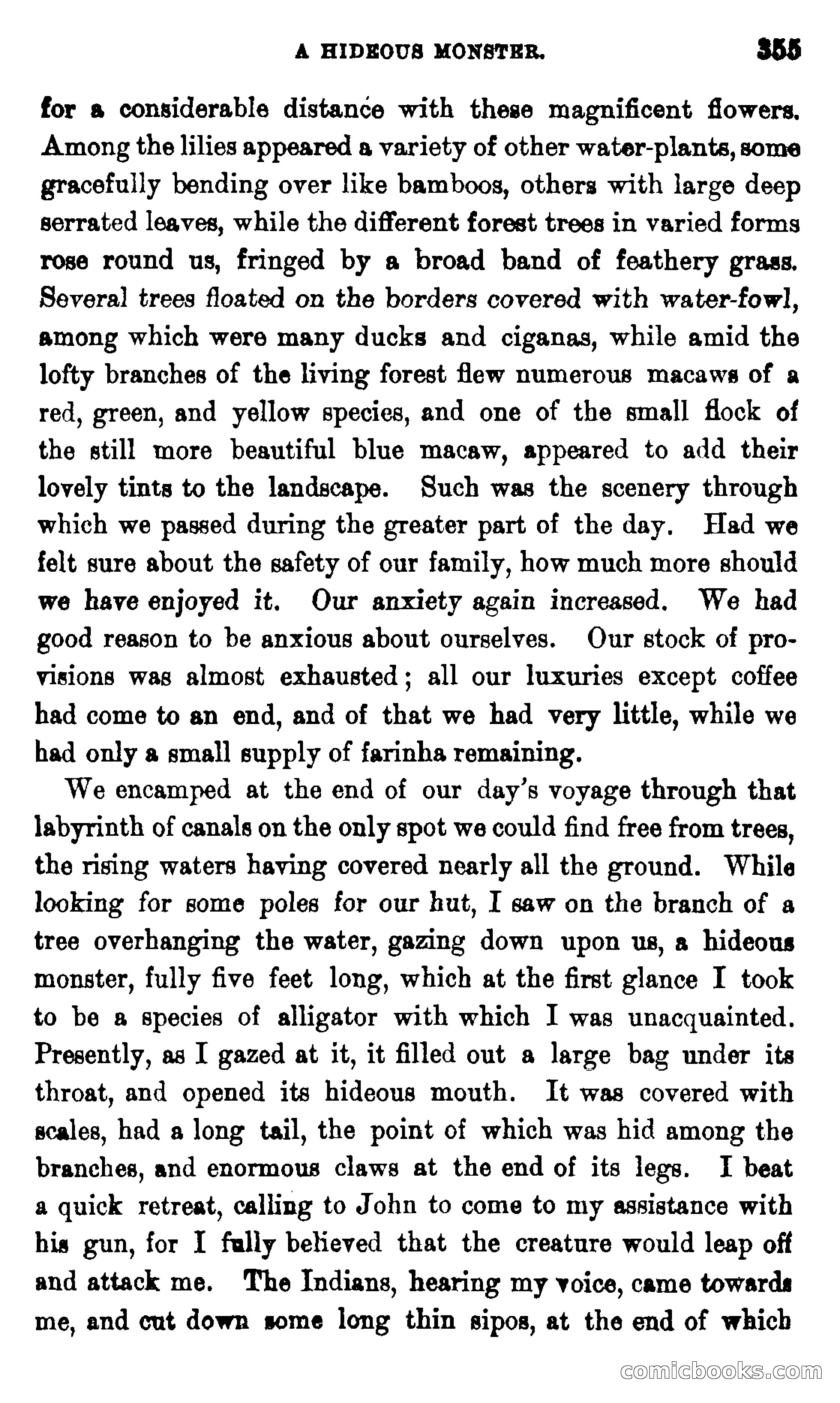 On the Banks of the Amazon — page 349 of 400
