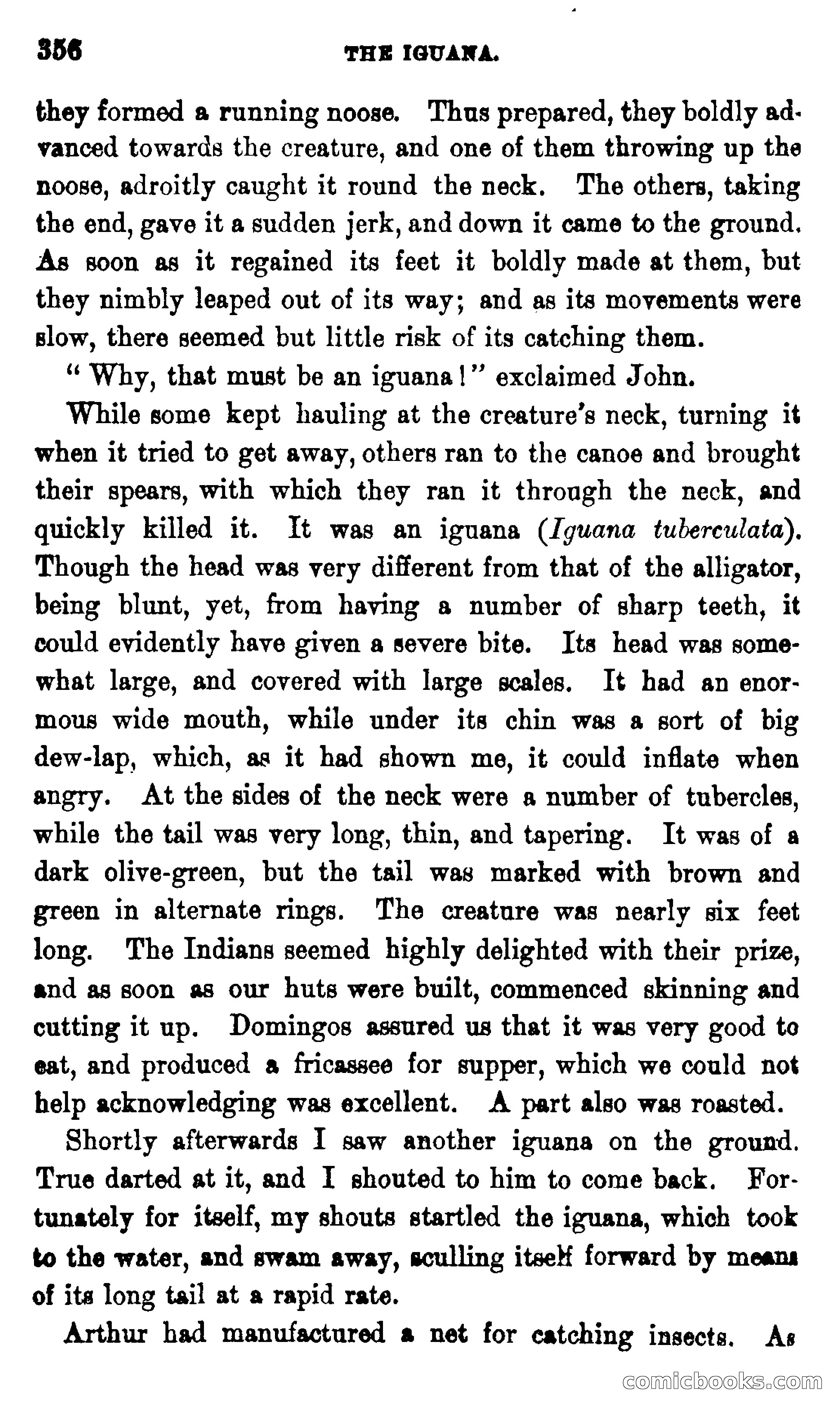 On the Banks of the Amazon — page 350 of 400