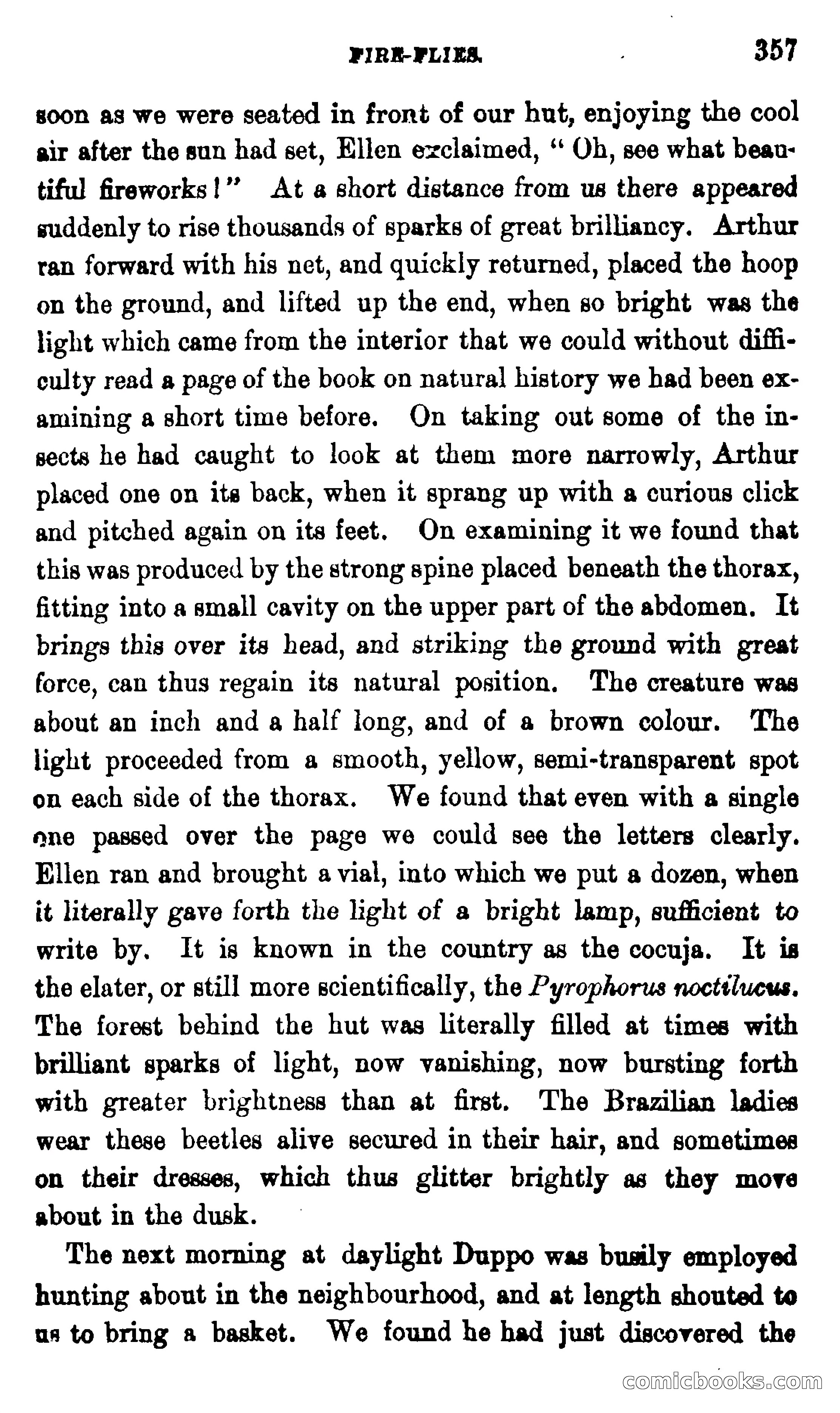 On the Banks of the Amazon — page 351 of 400