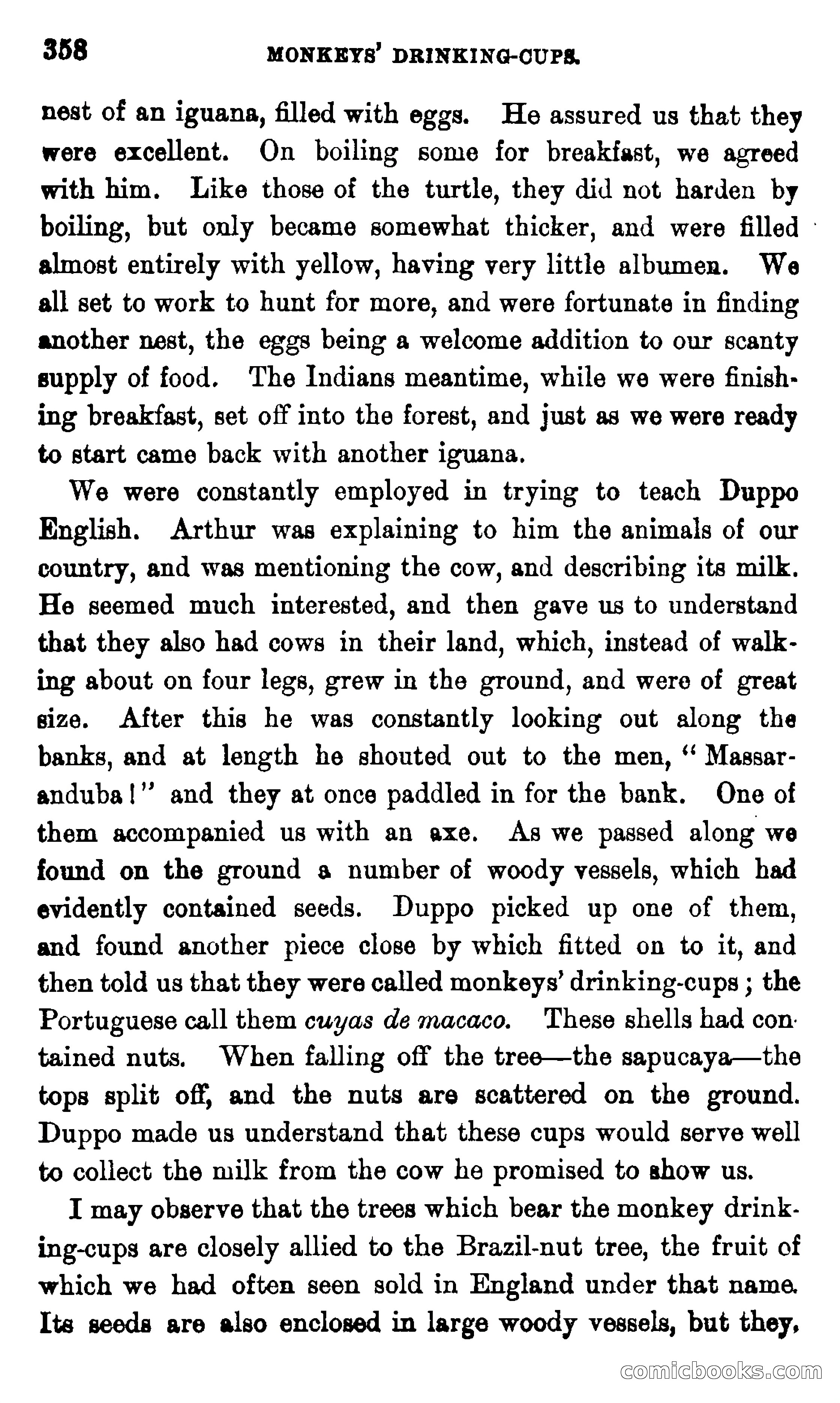 On the Banks of the Amazon — page 352 of 400