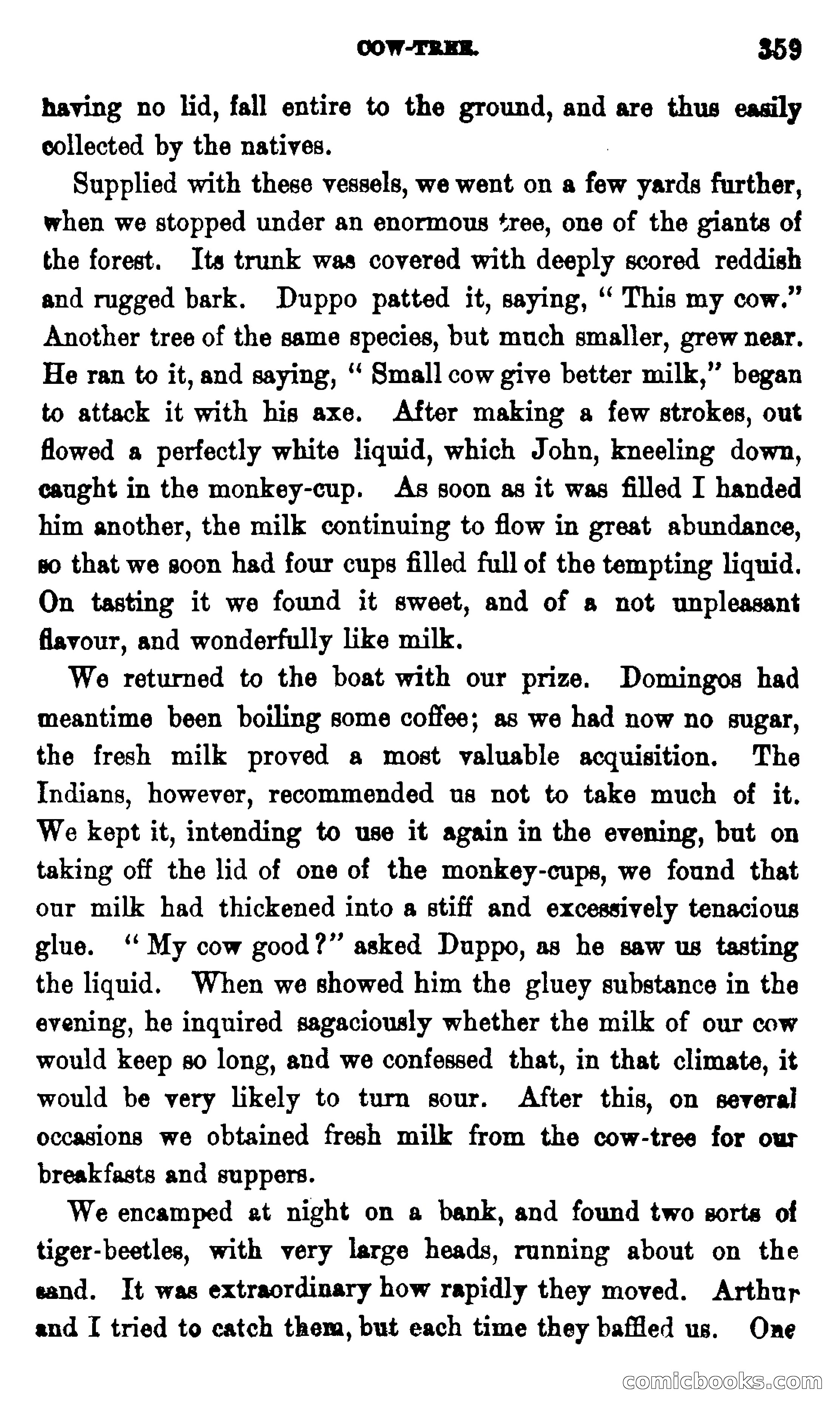 On the Banks of the Amazon — page 353 of 400