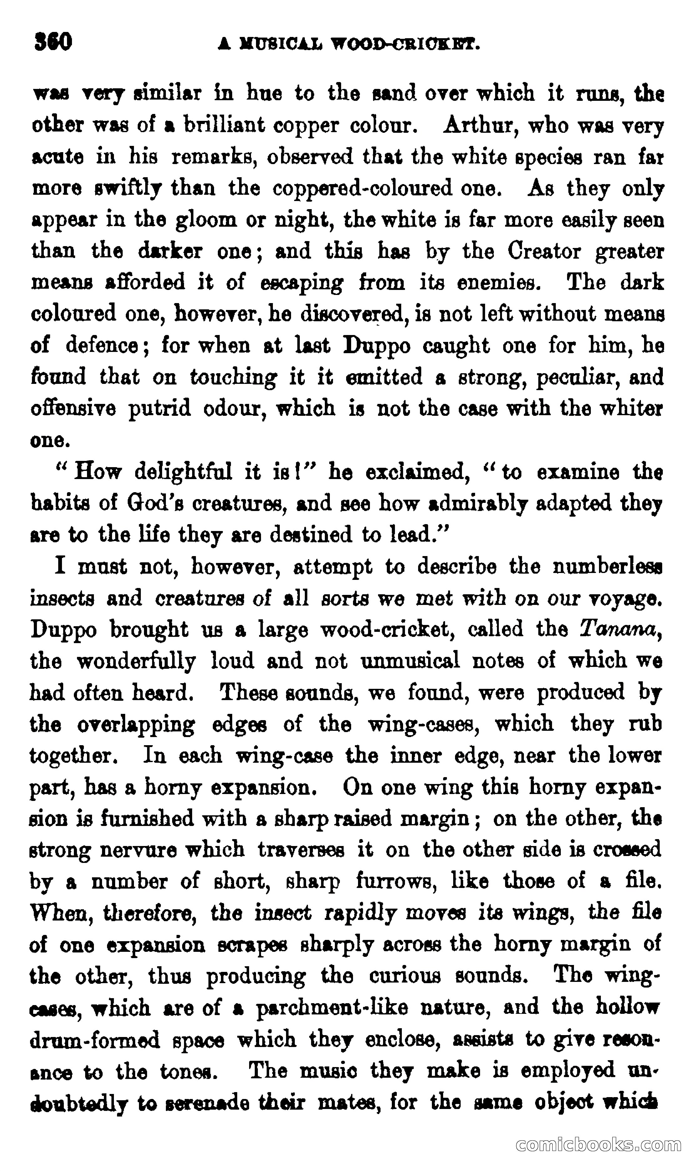 On the Banks of the Amazon — page 354 of 400