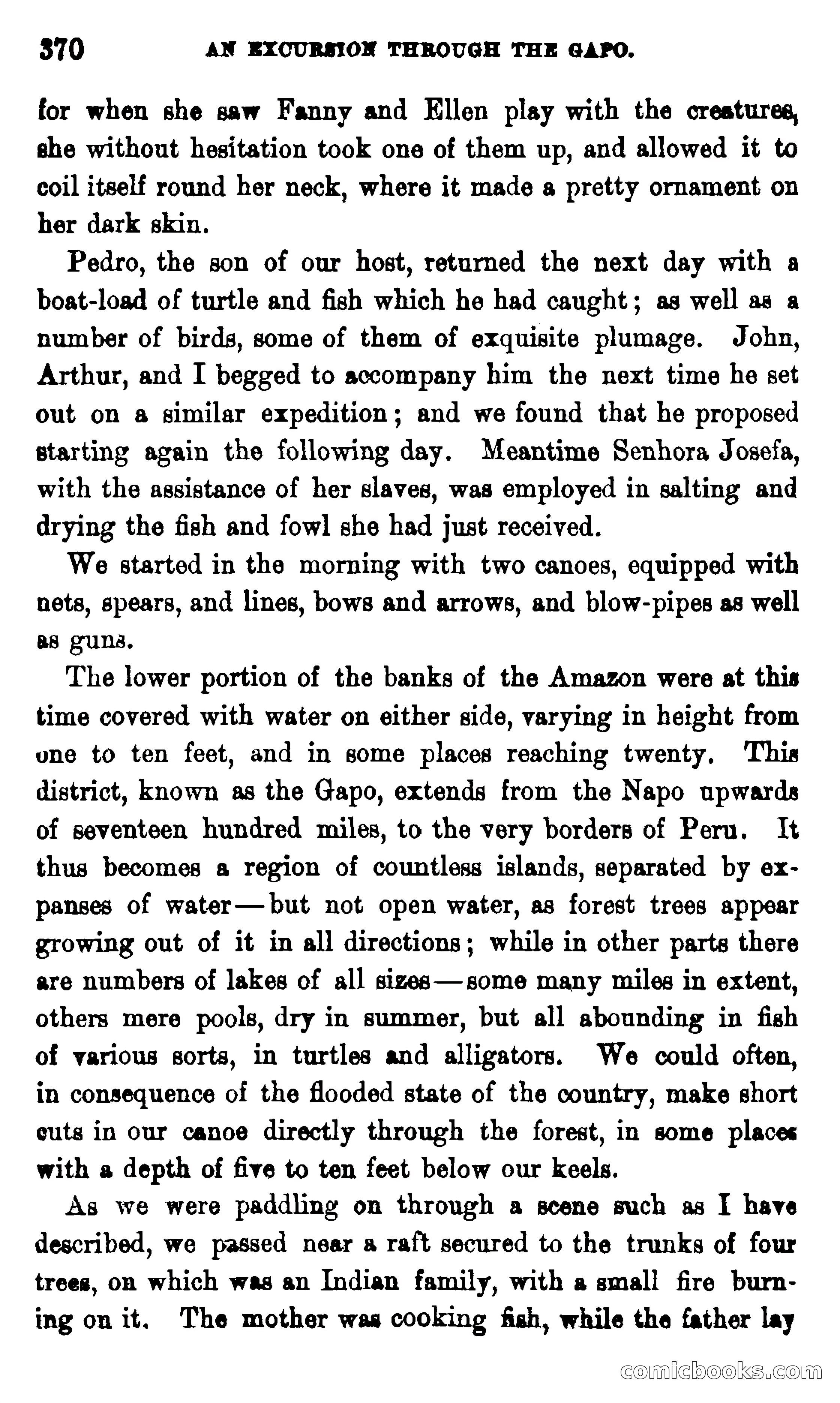 On the Banks of the Amazon — page 364 of 400