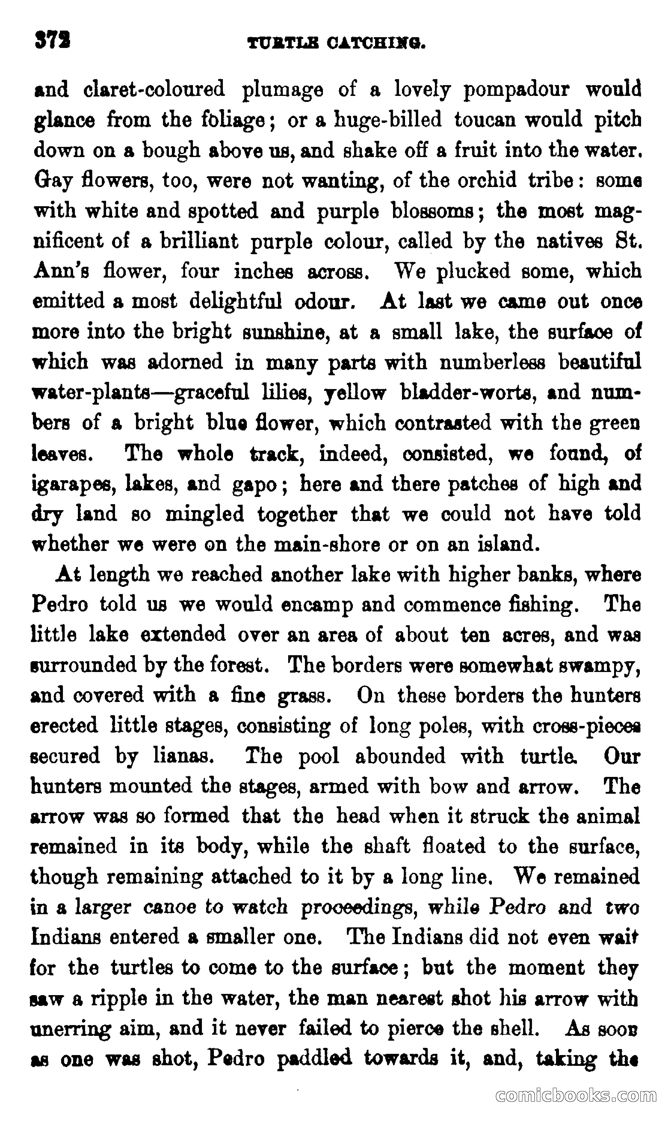 On the Banks of the Amazon — page 366 of 400