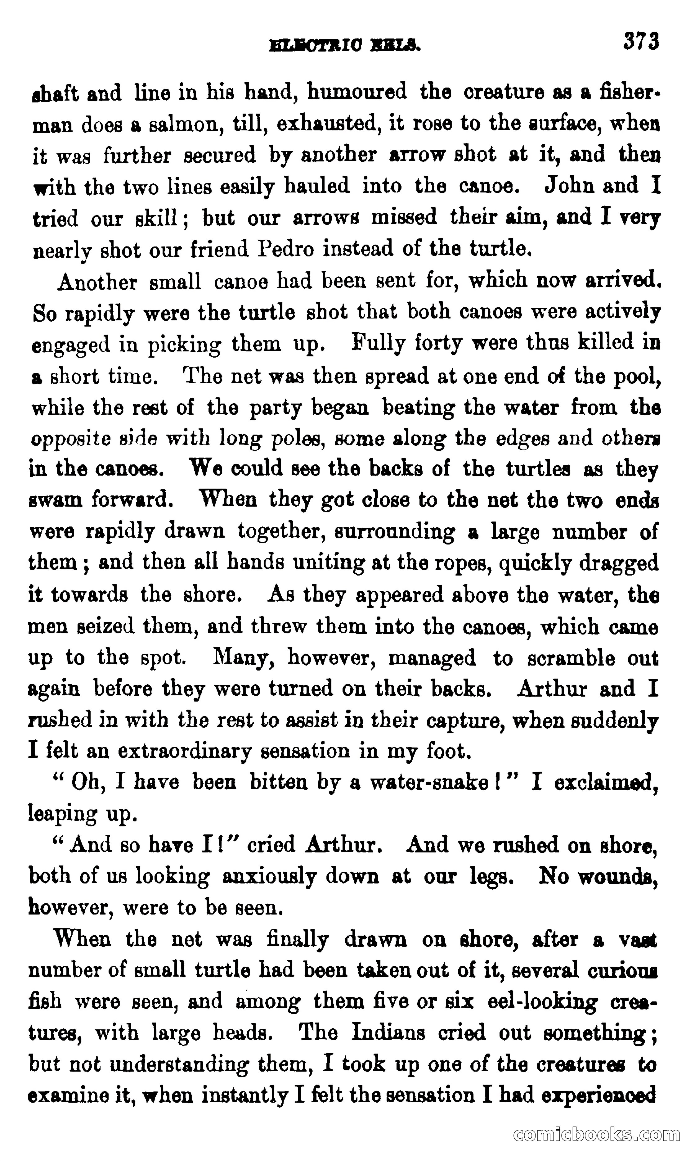 On the Banks of the Amazon — page 367 of 400