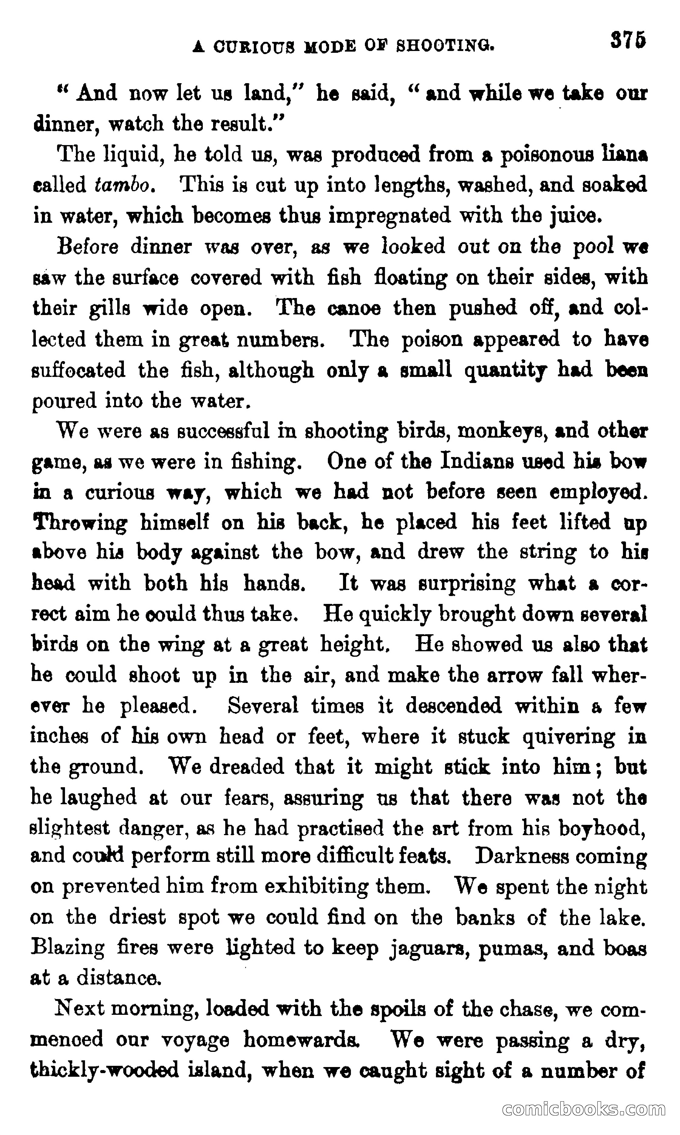 On the Banks of the Amazon — page 369 of 400