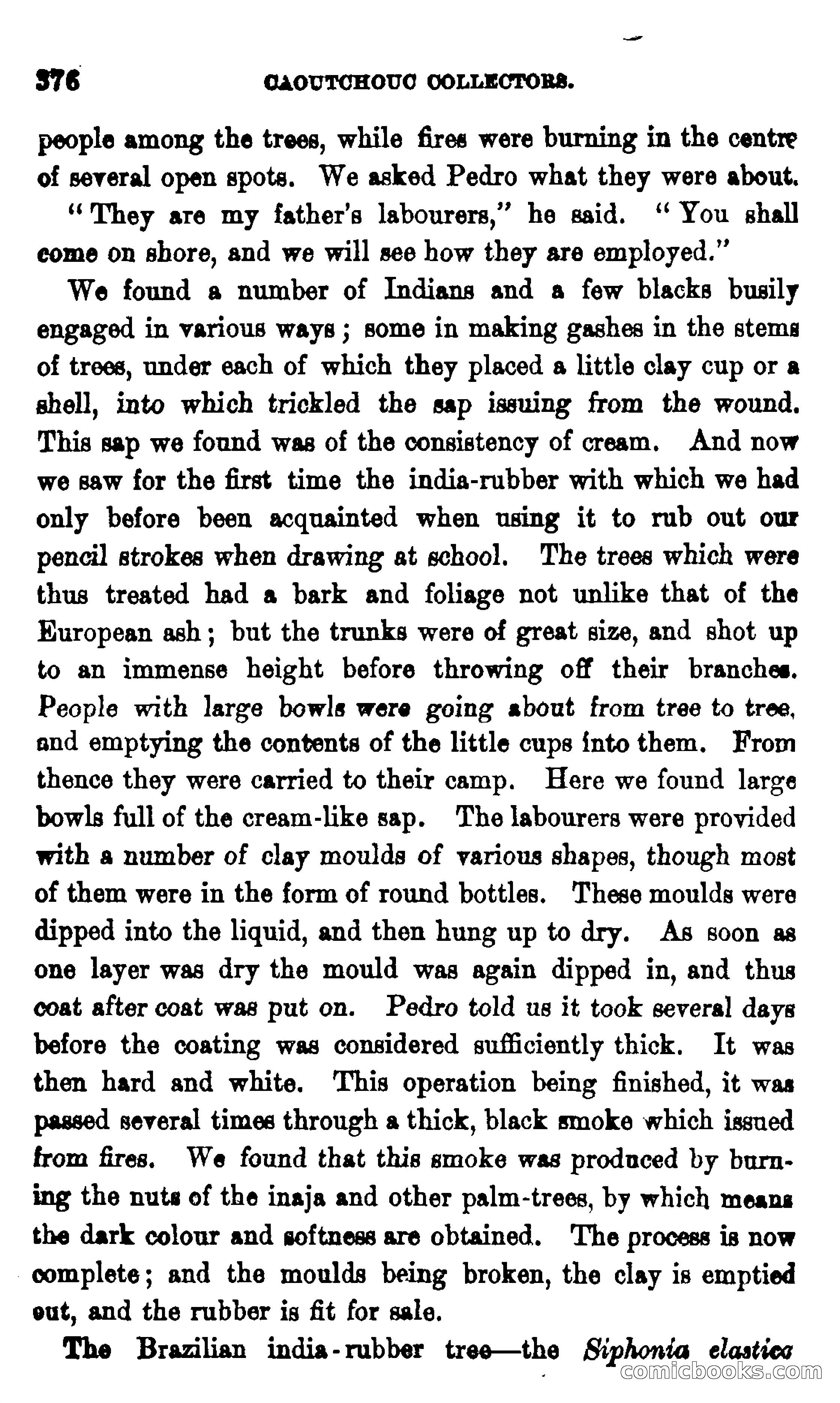 On the Banks of the Amazon — page 370 of 400