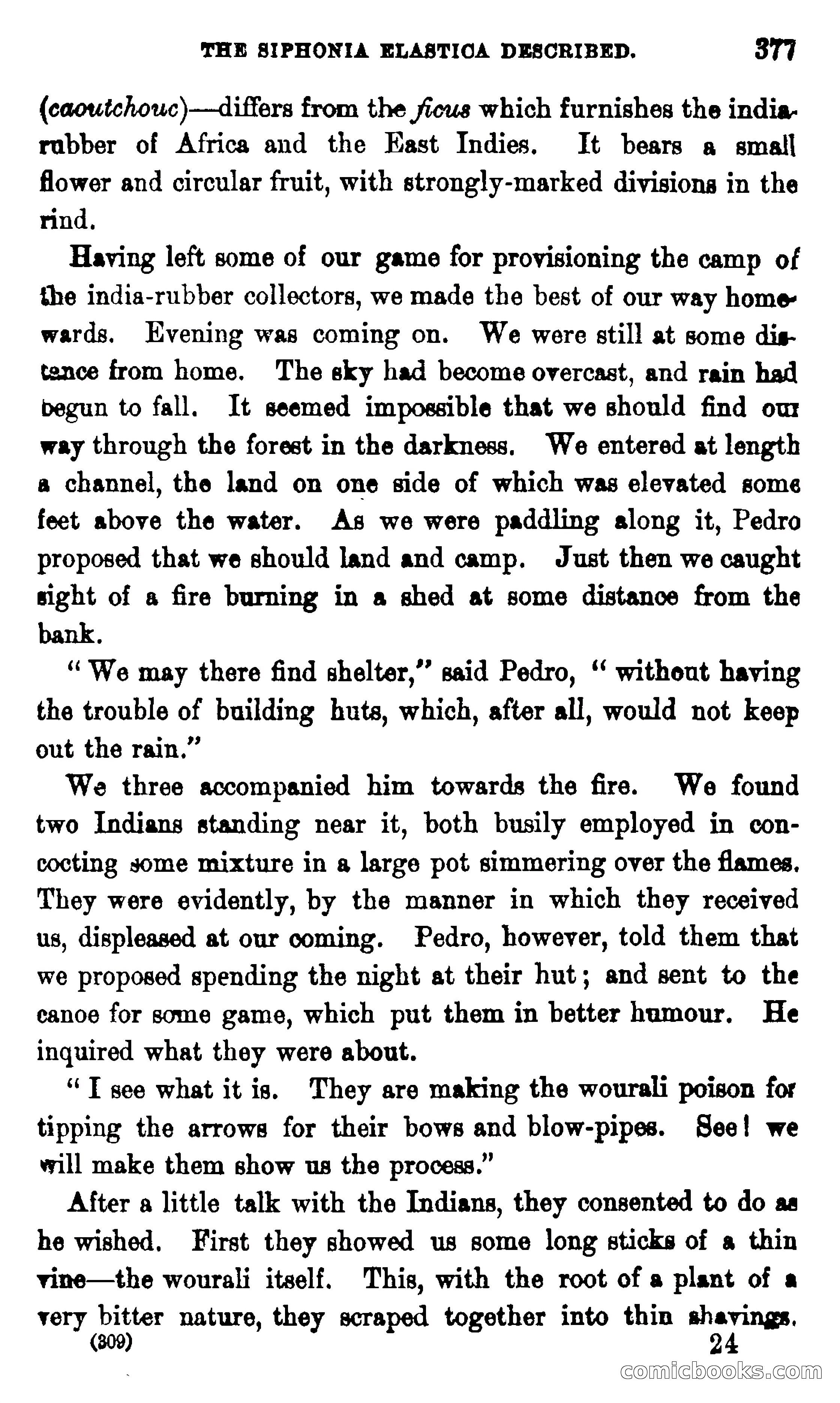 On the Banks of the Amazon — page 371 of 400