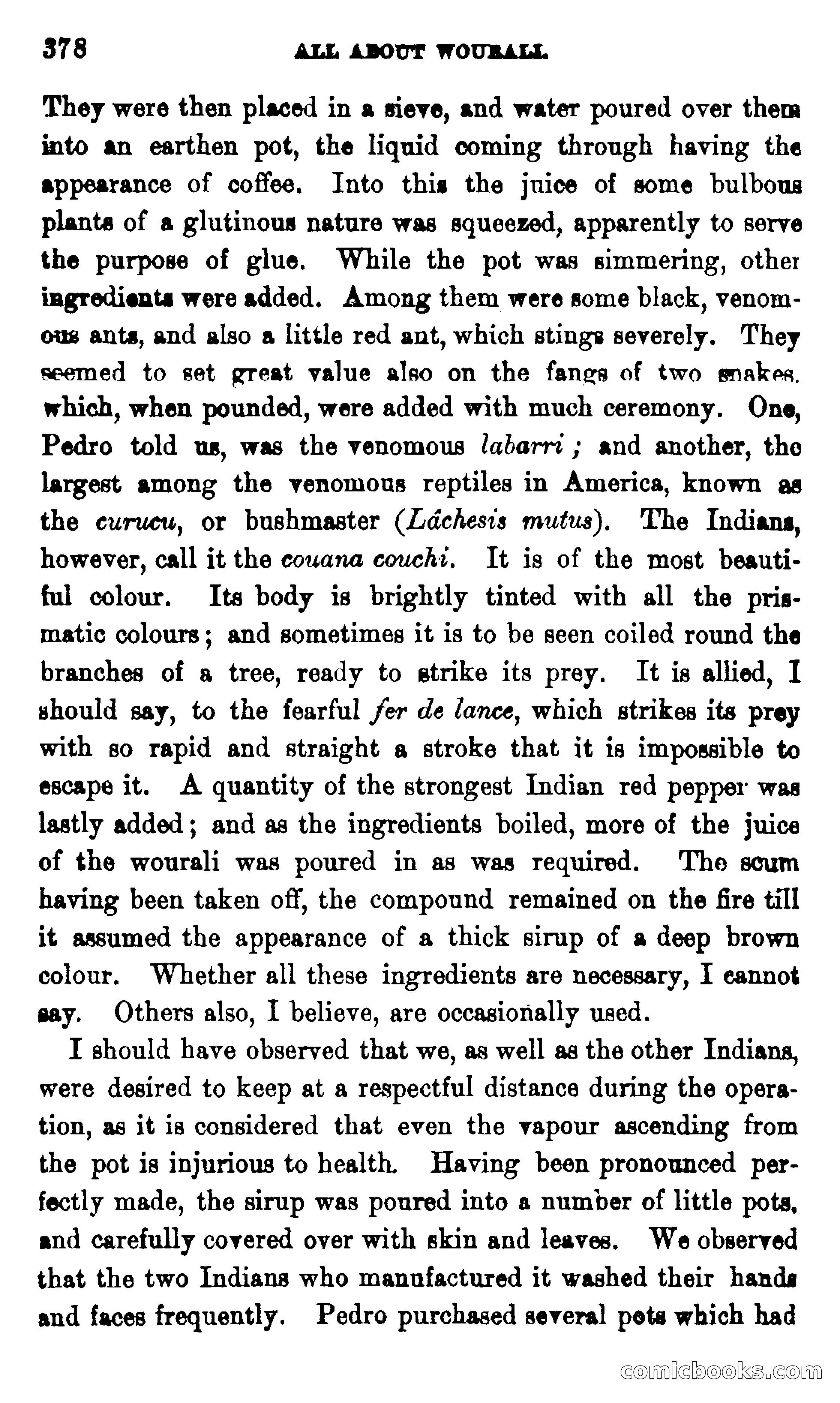 On the Banks of the Amazon — page 372 of 400