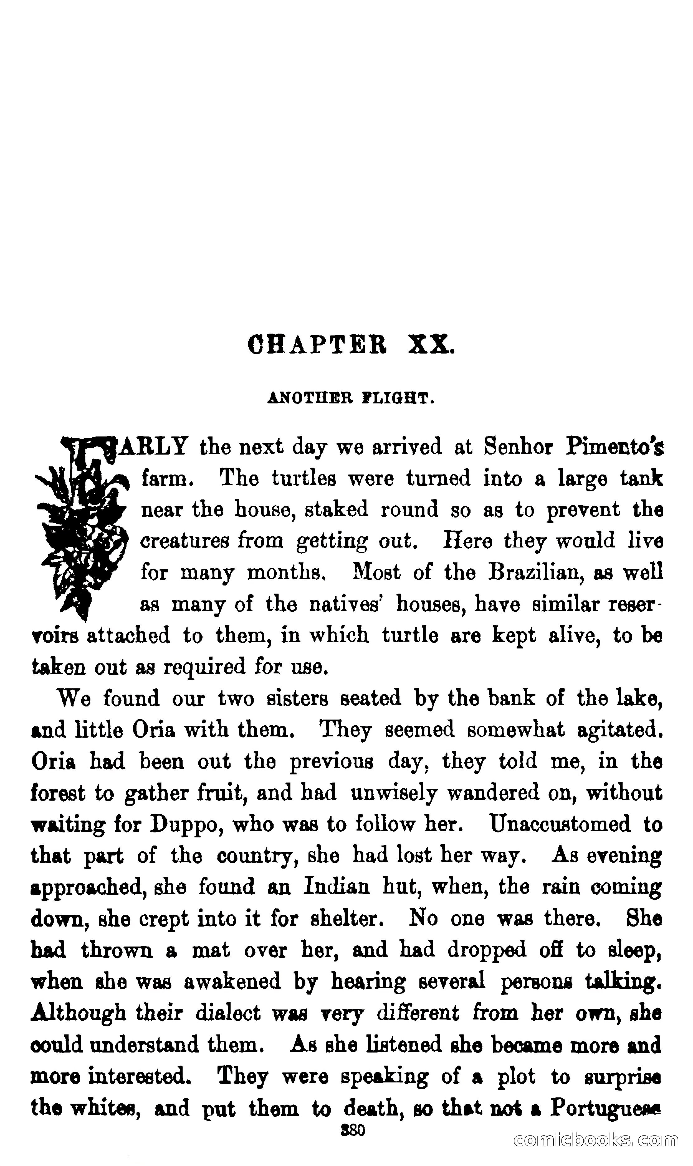 On the Banks of the Amazon — page 374 of 400