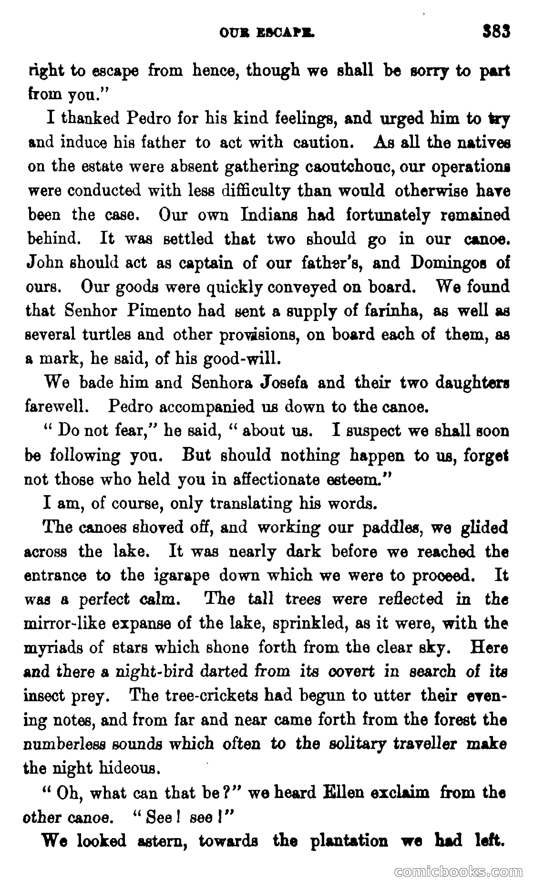 On the Banks of the Amazon — page 377 of 400