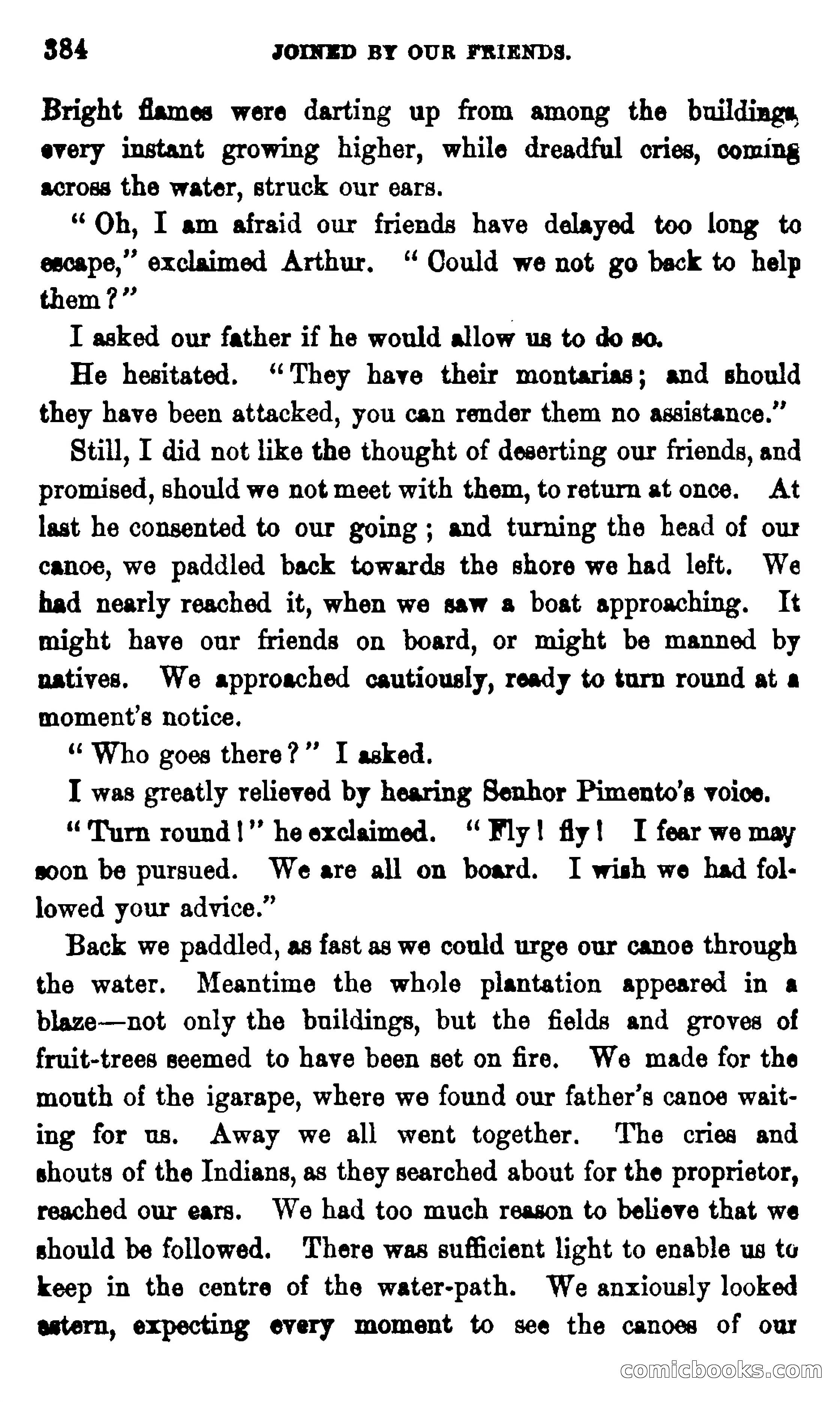 On the Banks of the Amazon — page 378 of 400