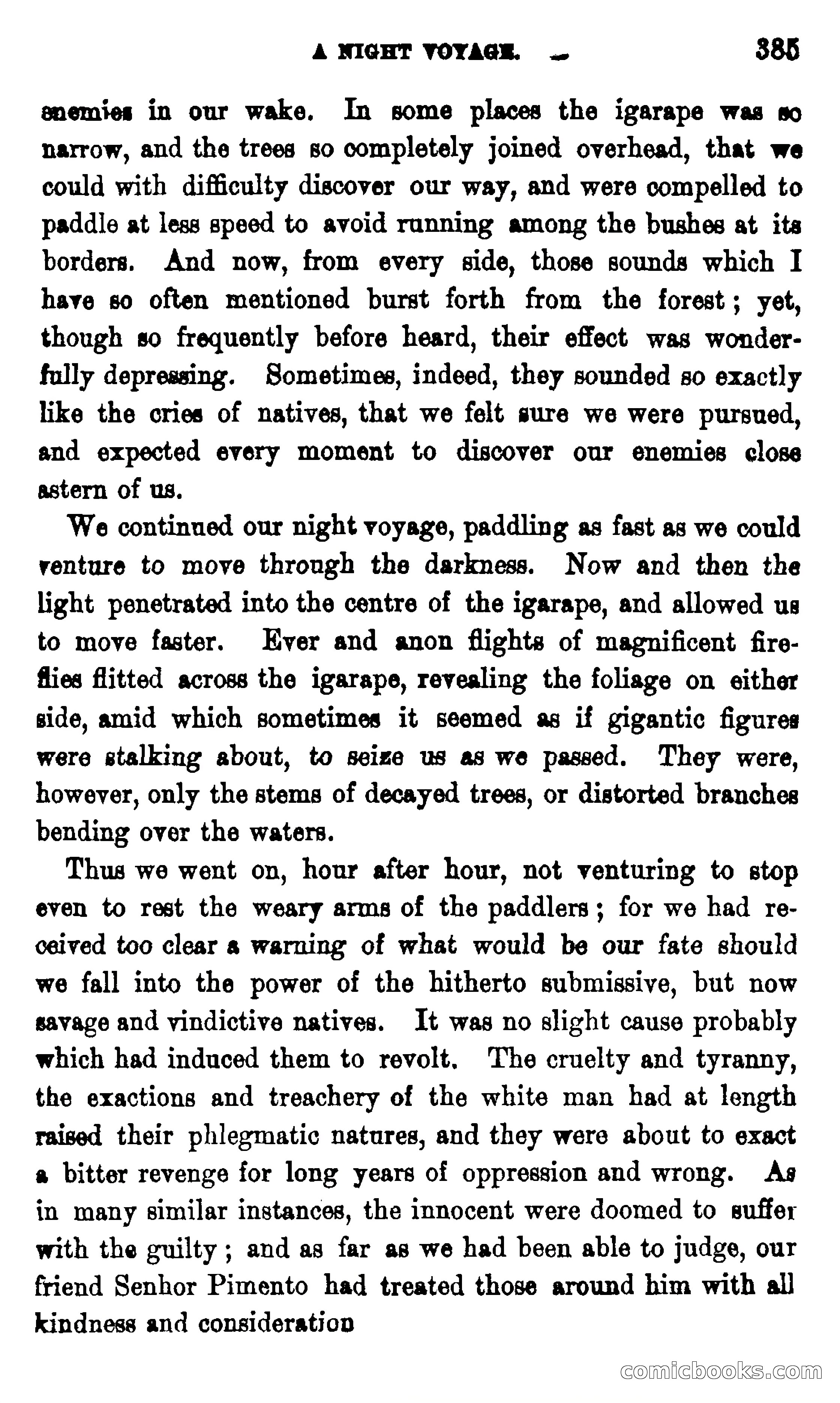 On the Banks of the Amazon — page 379 of 400