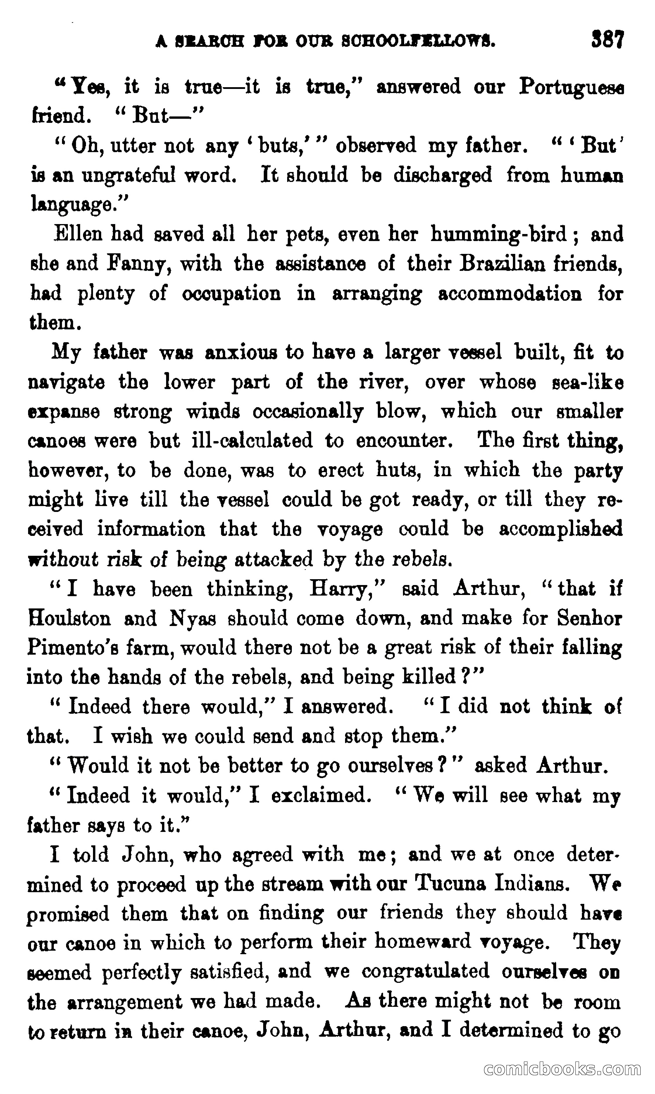 On the Banks of the Amazon — page 381 of 400