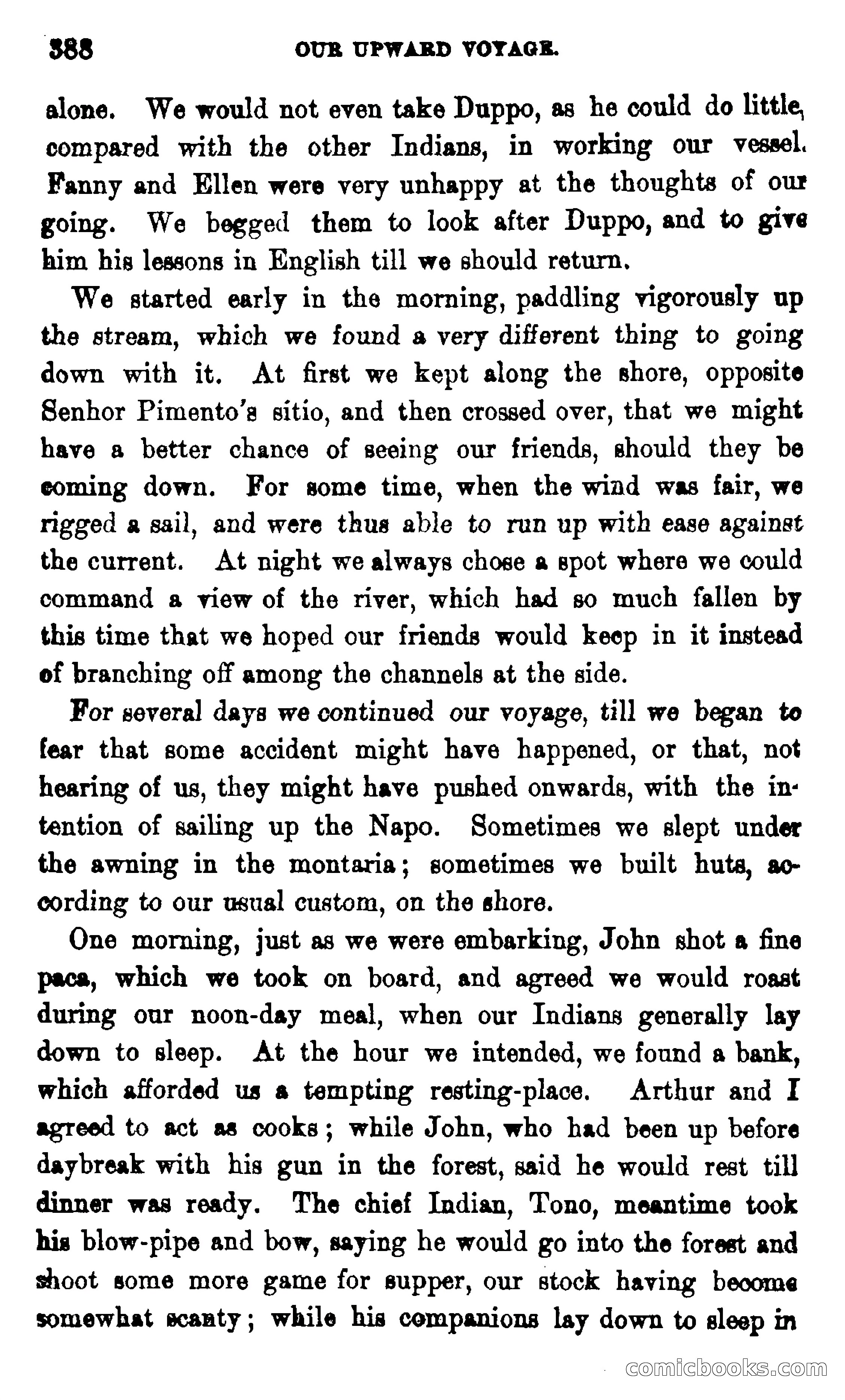 On the Banks of the Amazon — page 382 of 400
