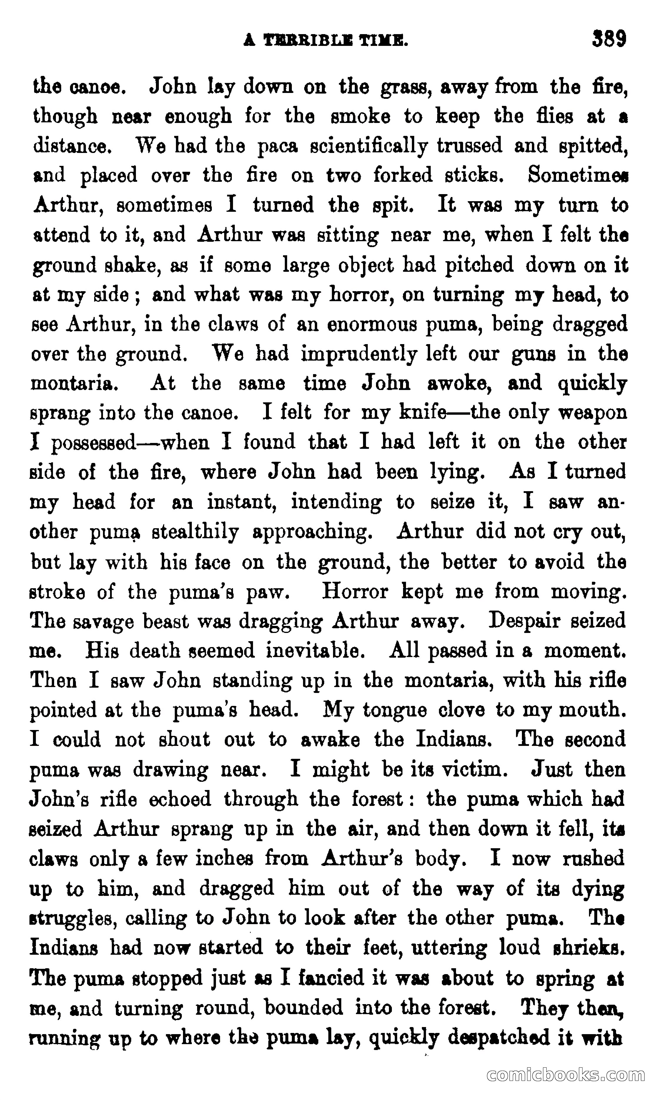On the Banks of the Amazon — page 383 of 400