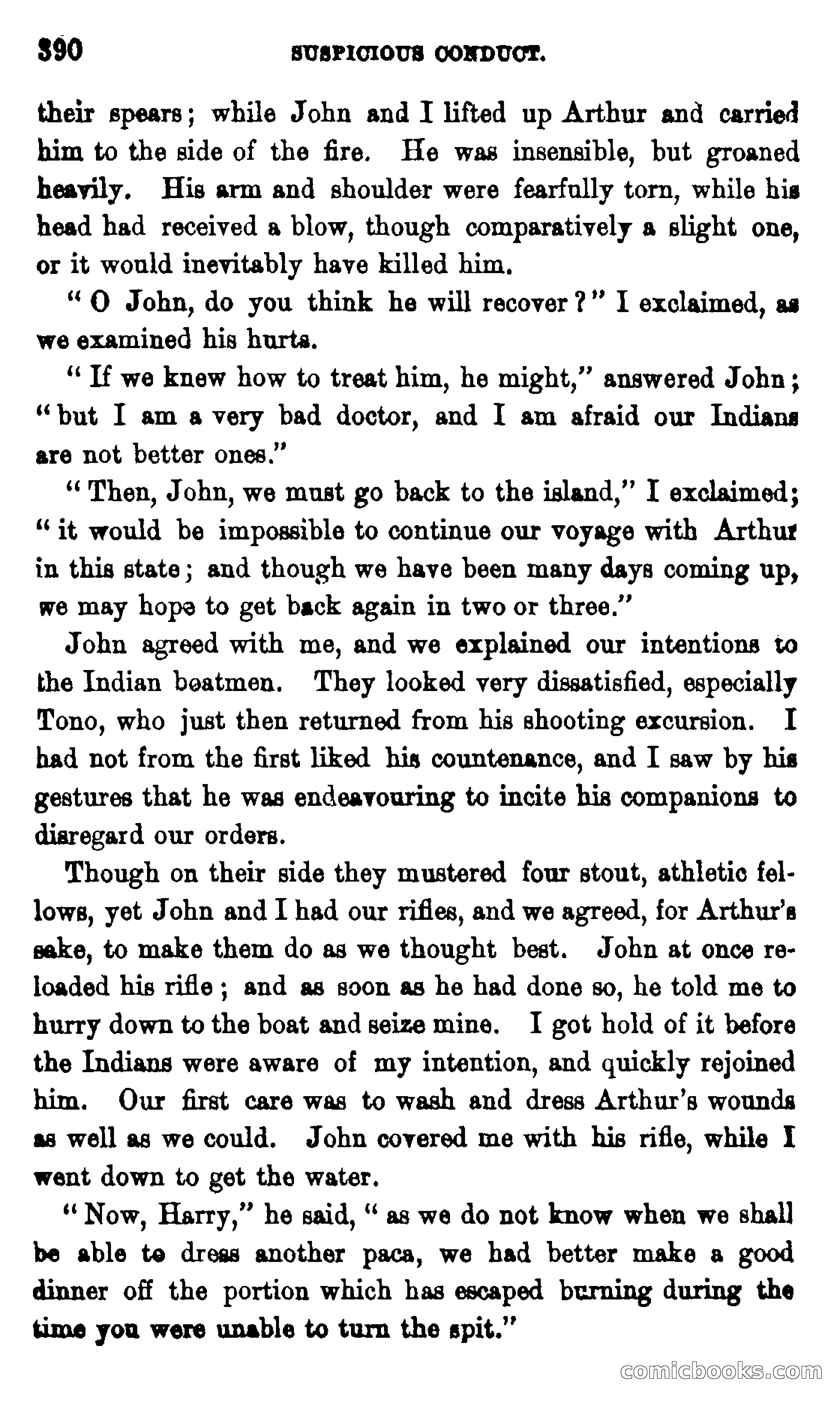 On the Banks of the Amazon — page 384 of 400