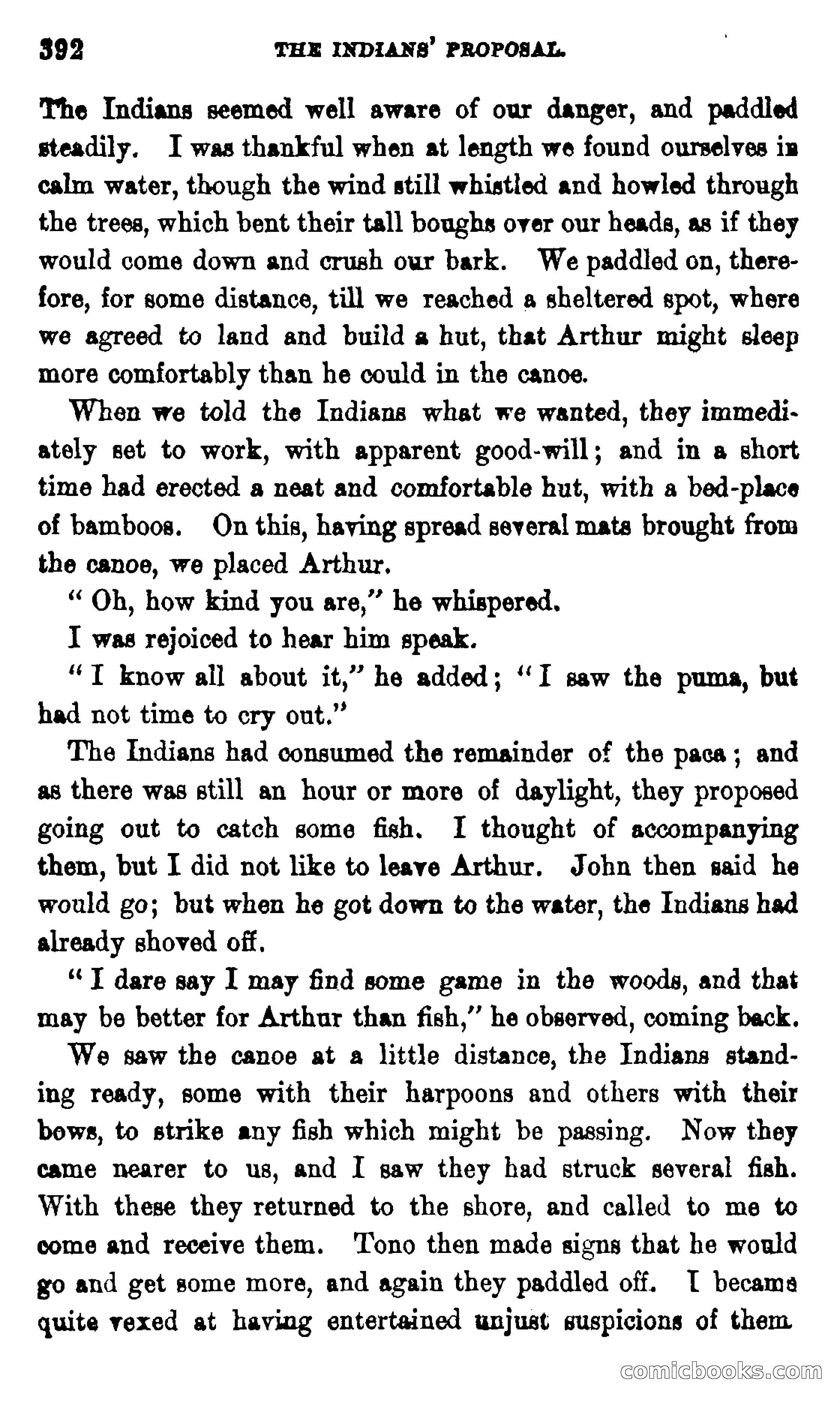 On the Banks of the Amazon — page 386 of 400
