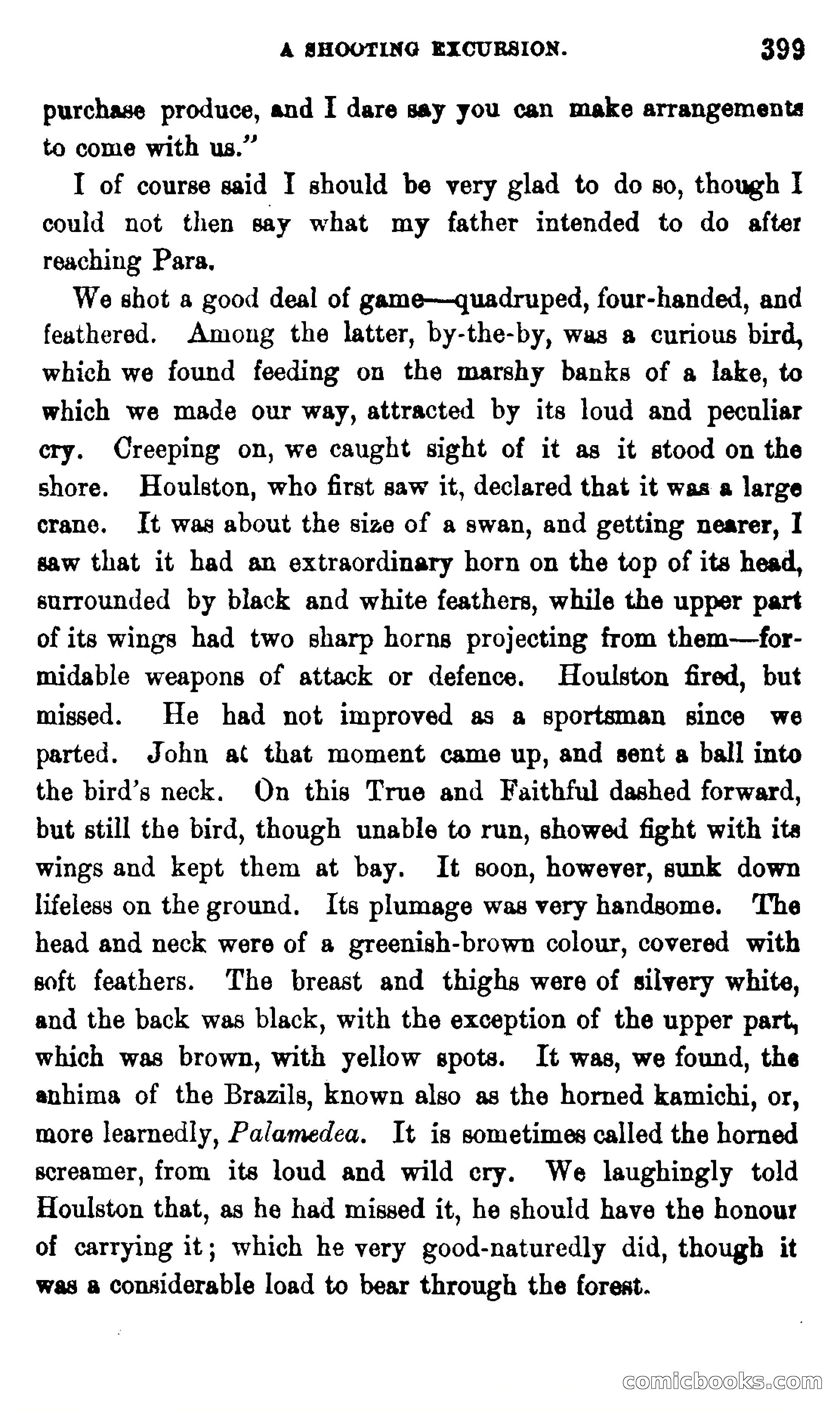 On the Banks of the Amazon — page 393 of 400