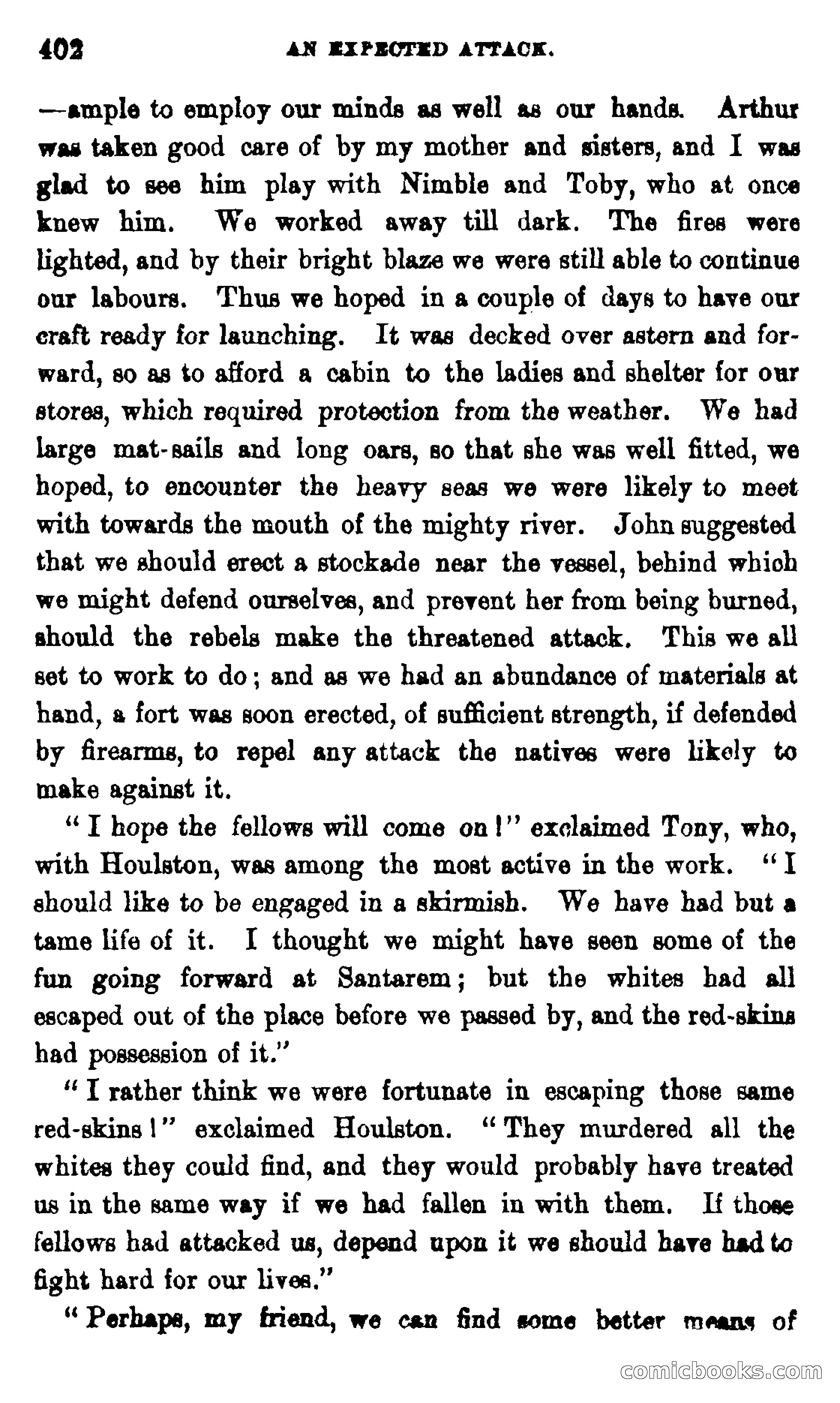 On the Banks of the Amazon — page 396 of 400