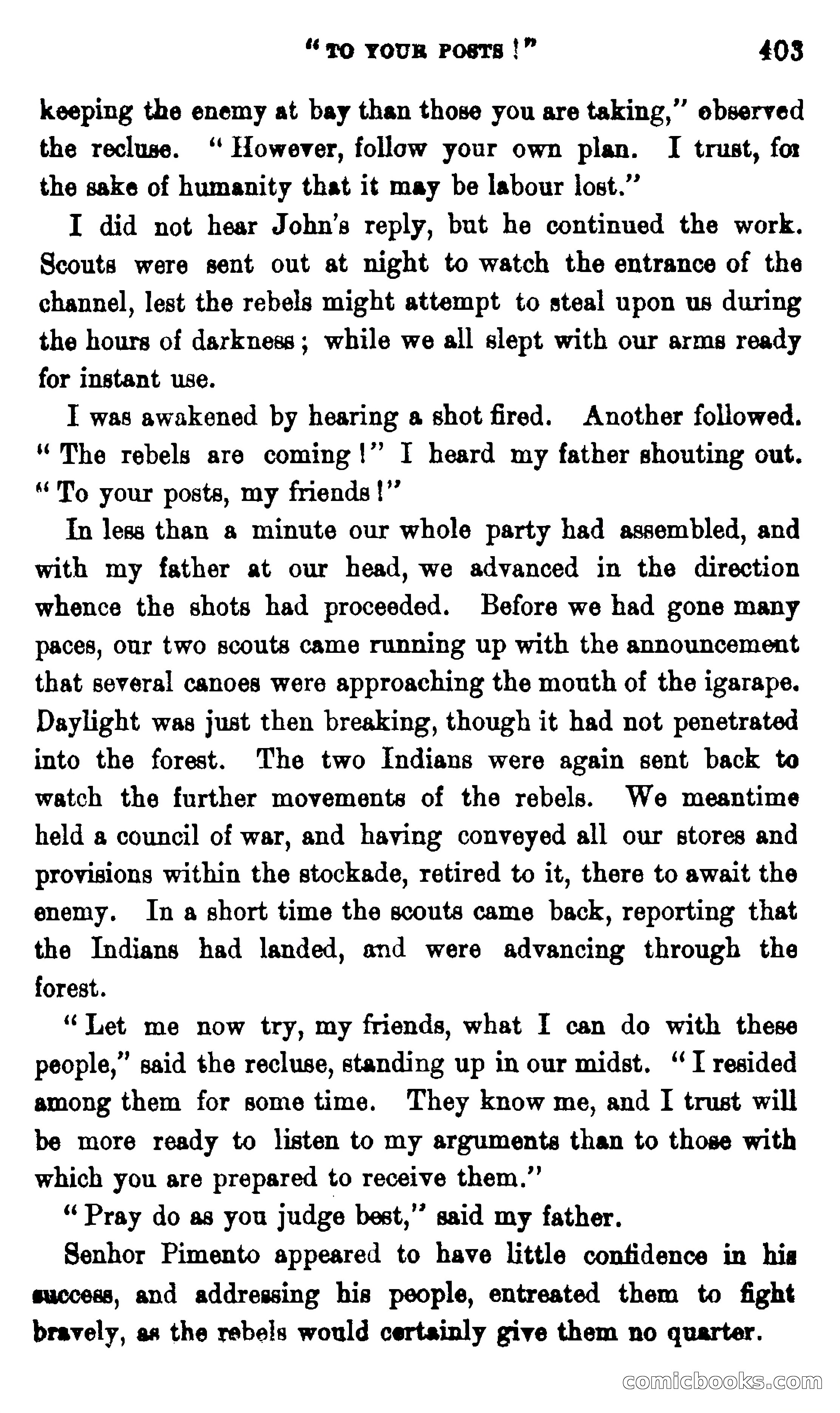 On the Banks of the Amazon — page 397 of 400