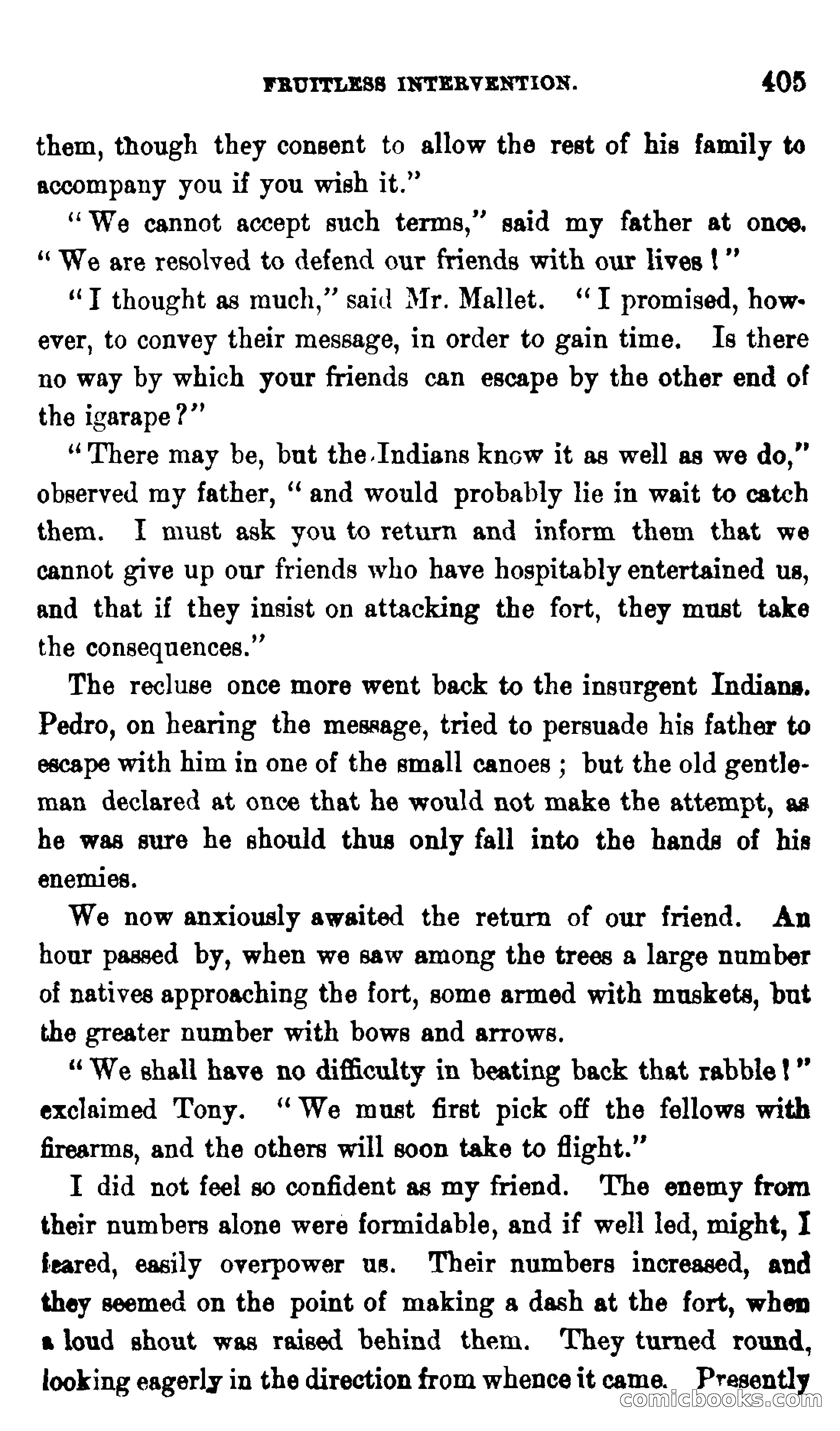 On the Banks of the Amazon — page 399 of 400