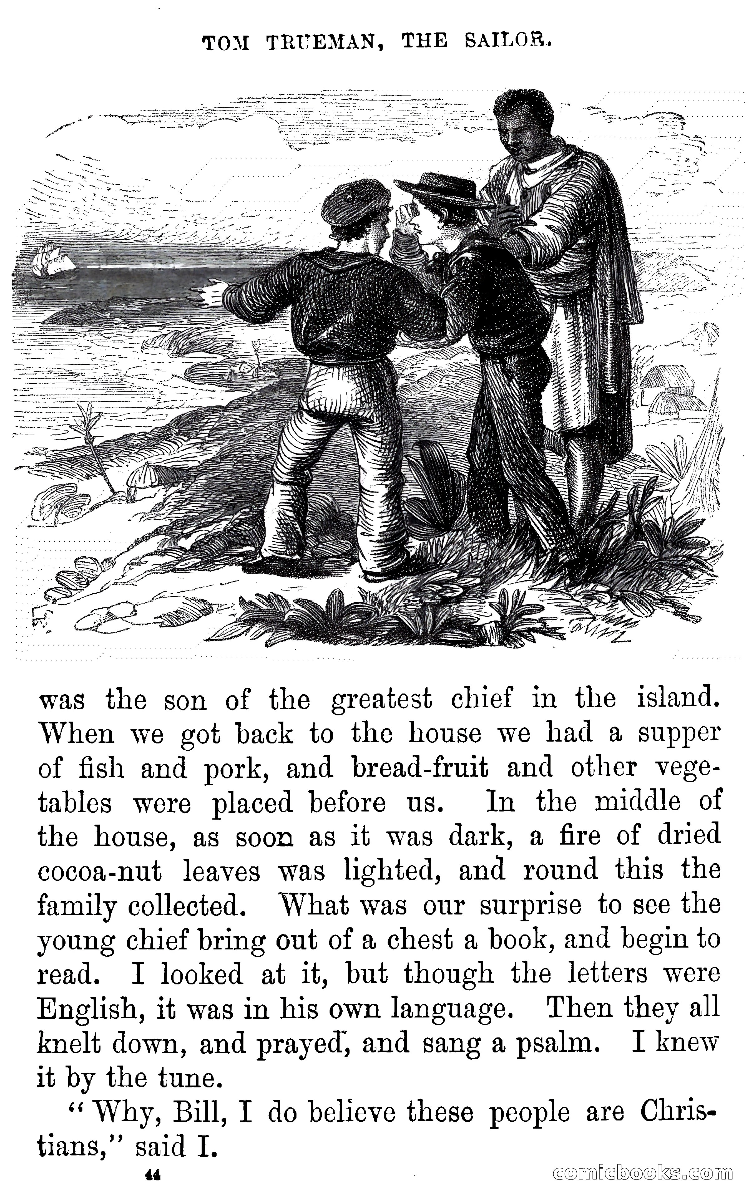 Tom Trueman, the Sailor; or, Life at Sea in a Merchant Vessel — page 46 of 69