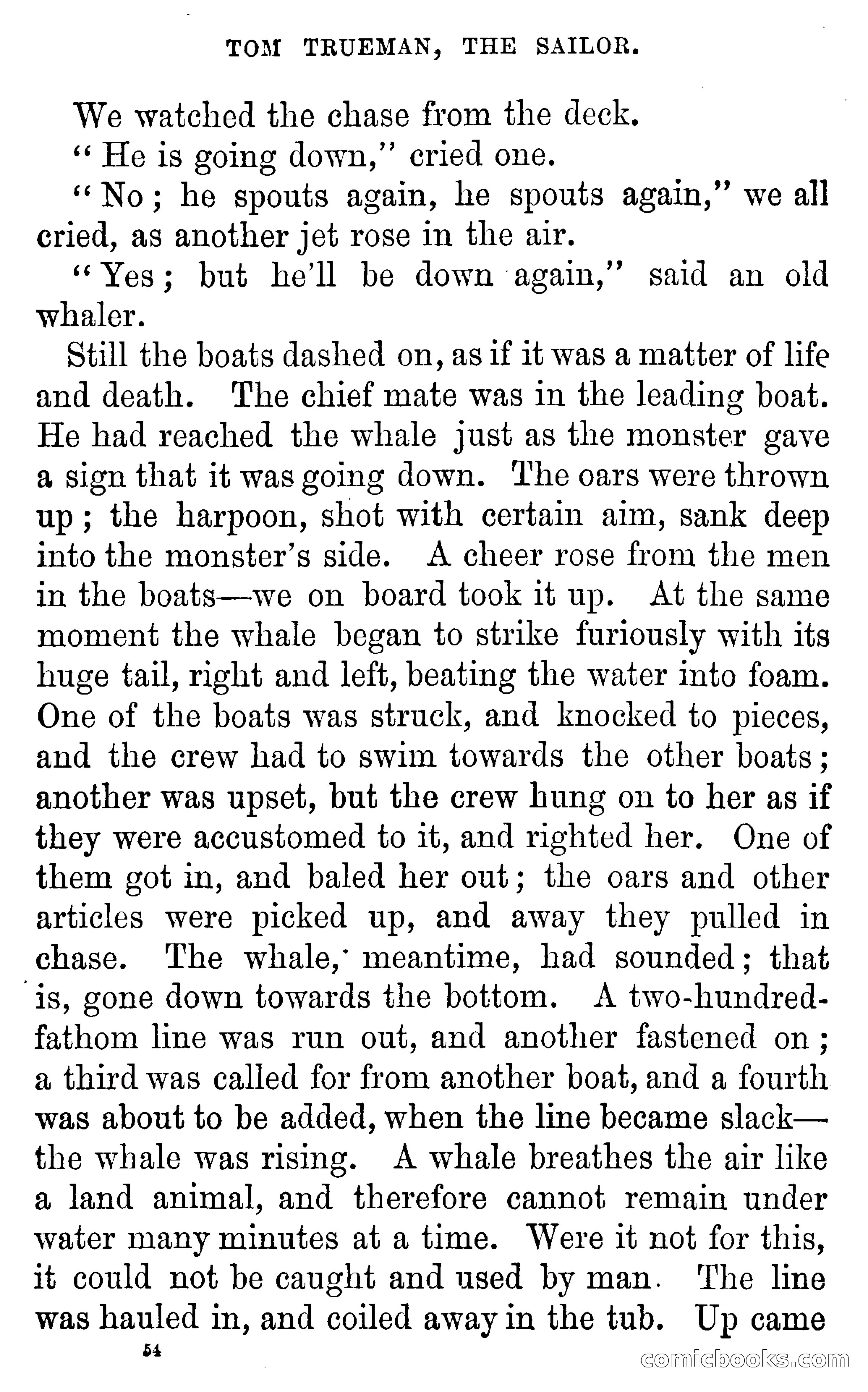 Tom Trueman, the Sailor; or, Life at Sea in a Merchant Vessel — page 56 of 69