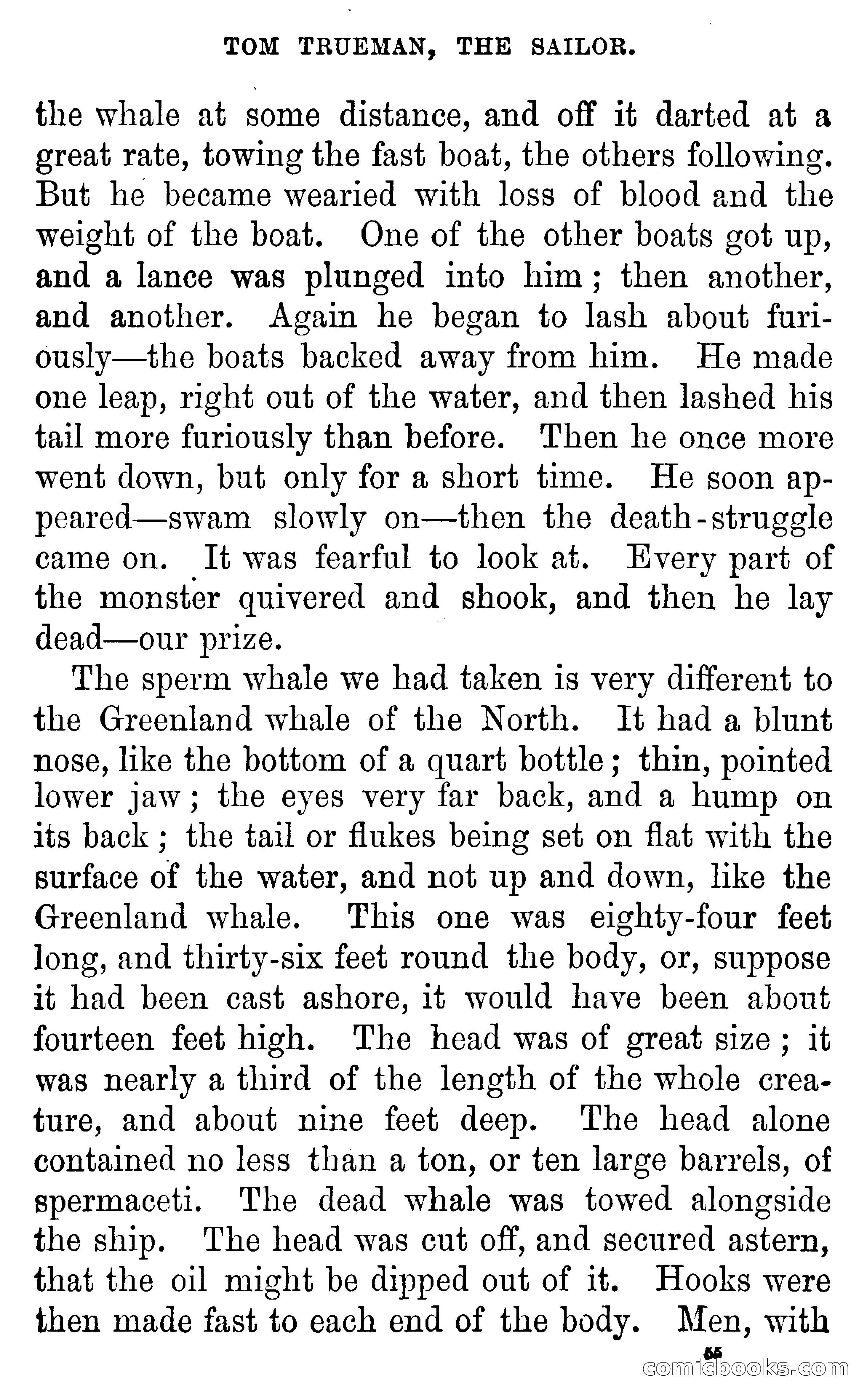 Tom Trueman, the Sailor; or, Life at Sea in a Merchant Vessel — page 57 of 69