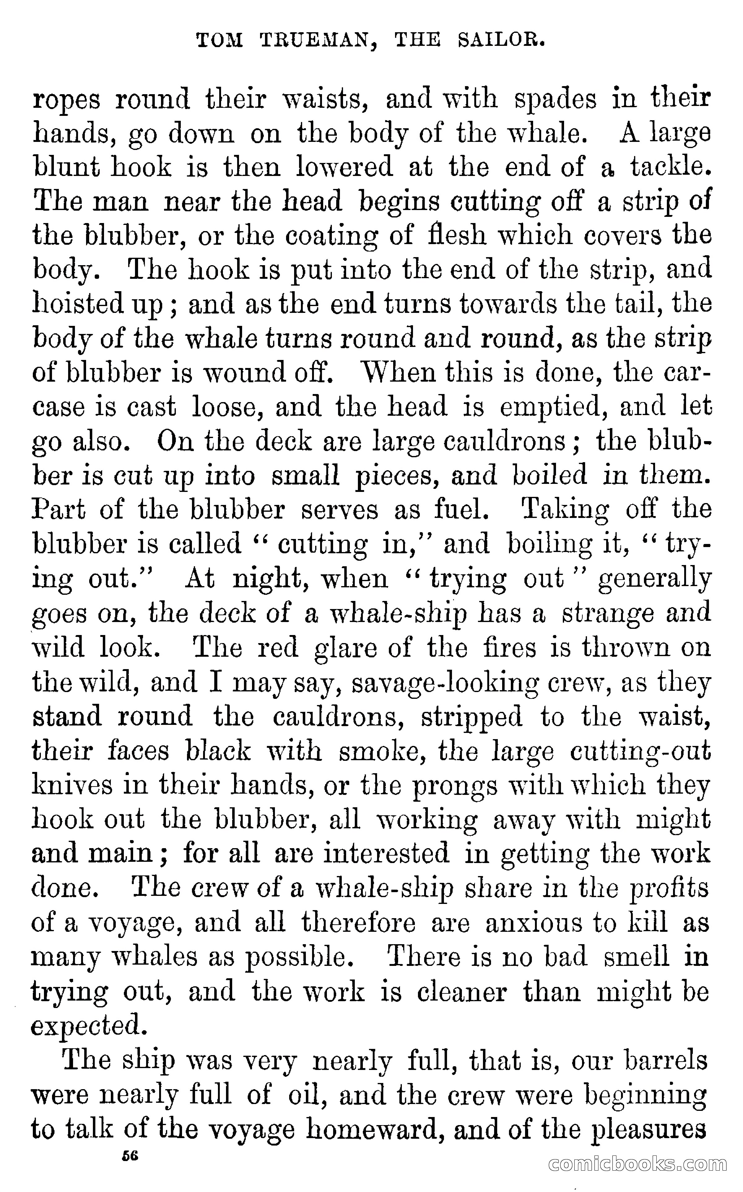 Tom Trueman, the Sailor; or, Life at Sea in a Merchant Vessel — page 58 of 69