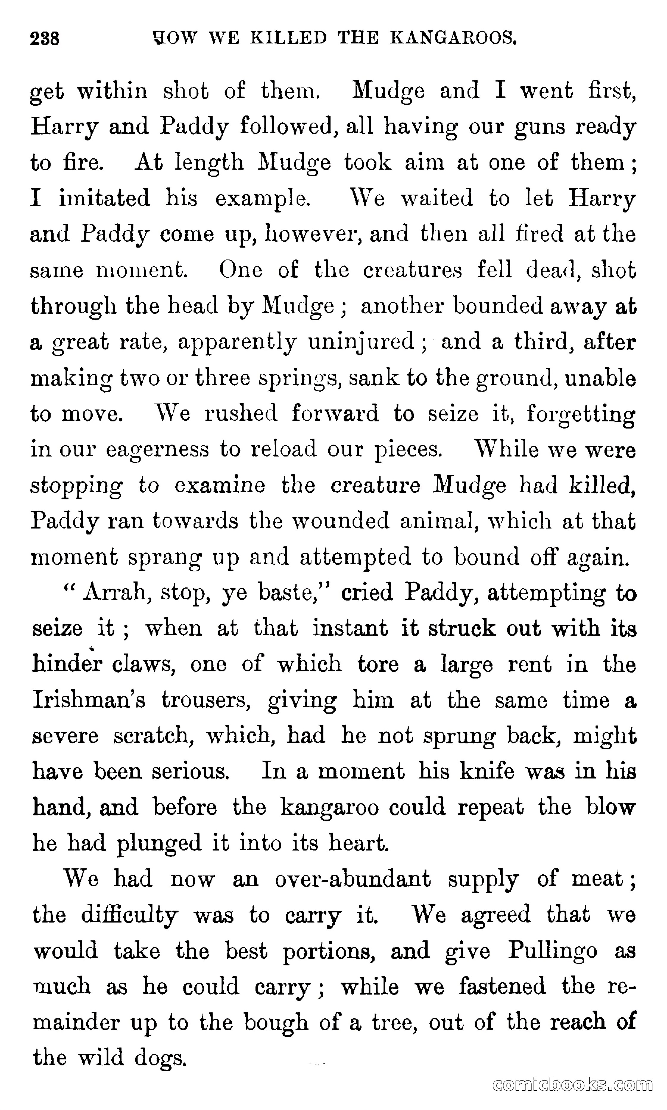 Twice Lost — page 244 of 400