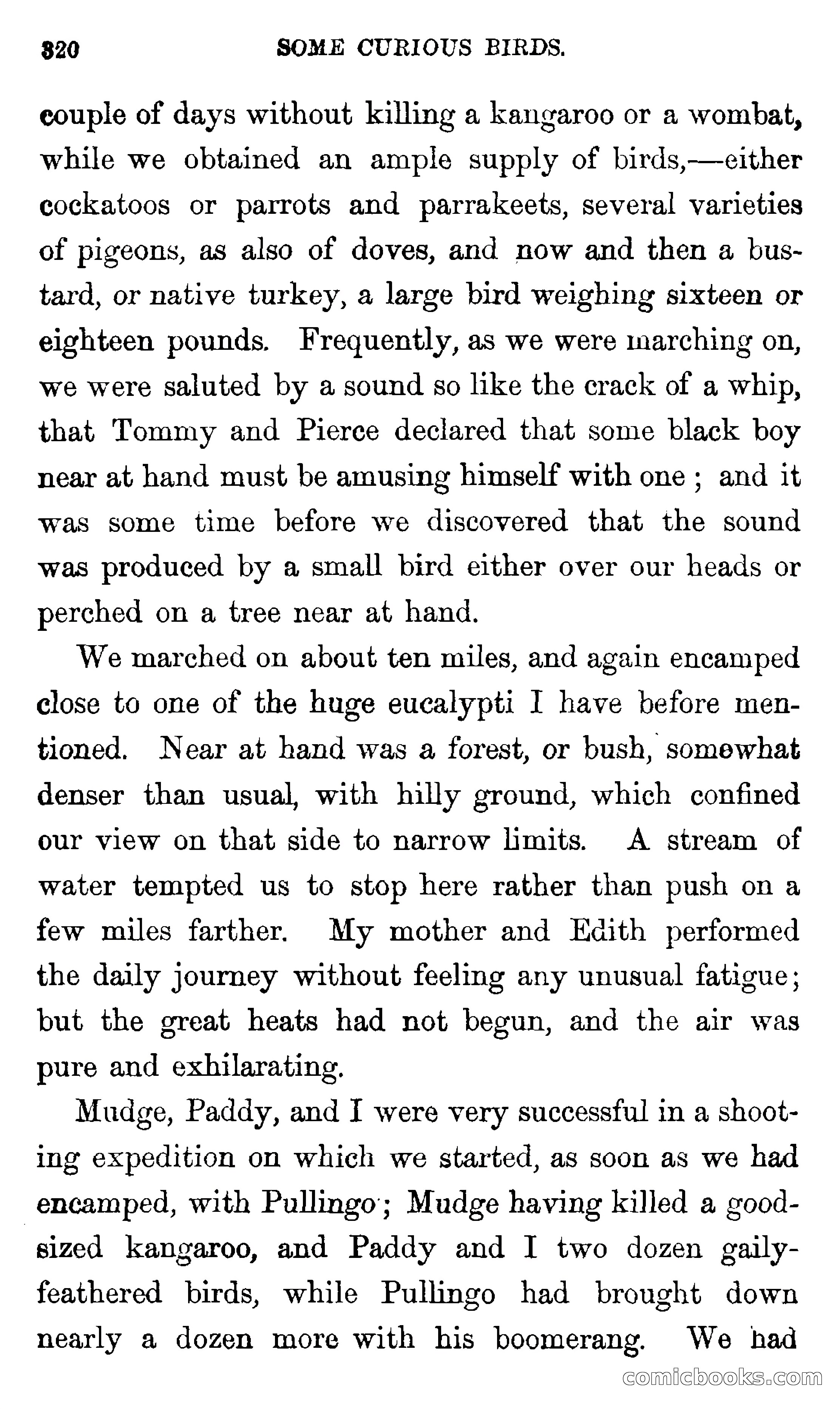 Twice Lost — page 326 of 400