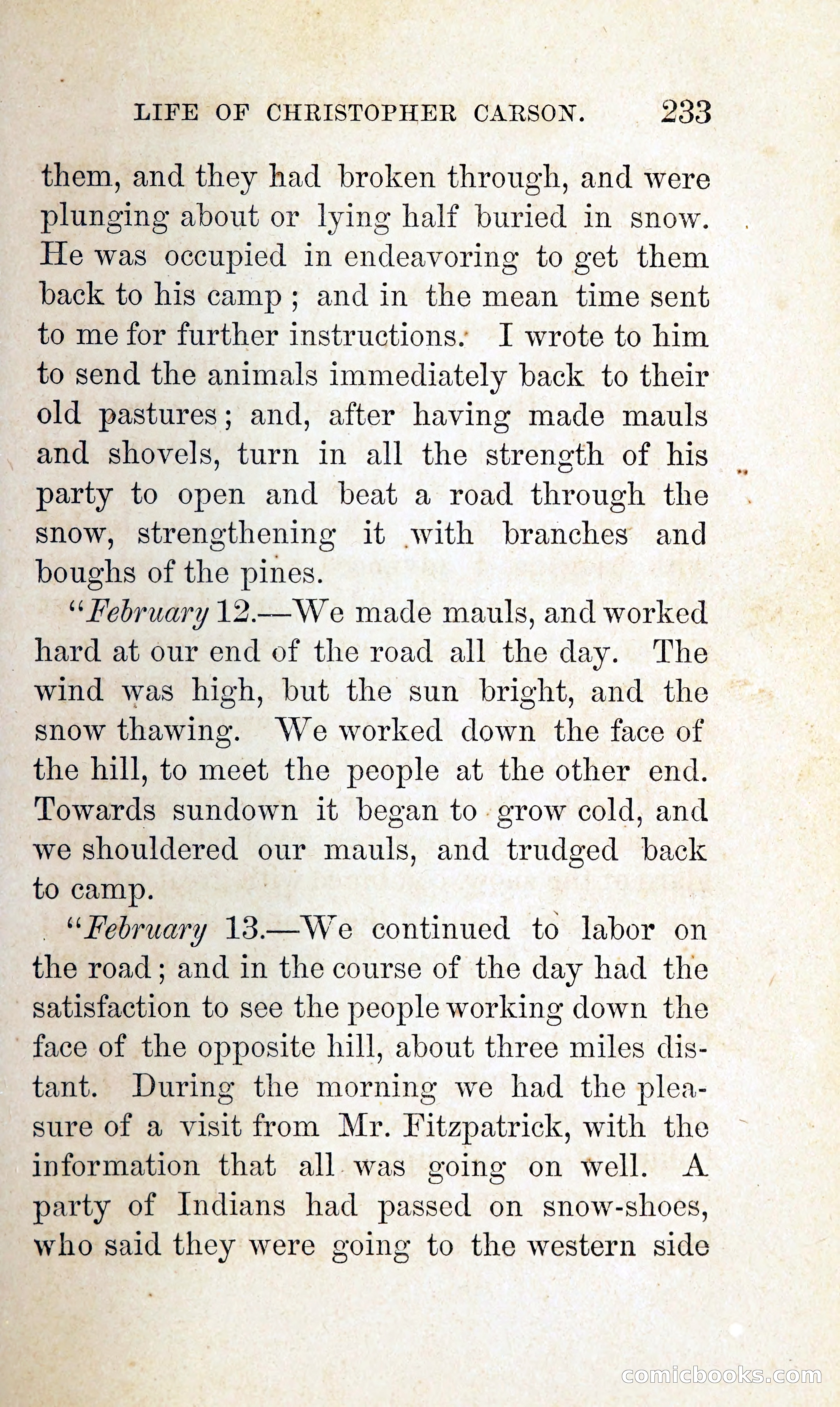 Kit Carson: The Life and Adventures of Christopher Carson — page 252 of 392