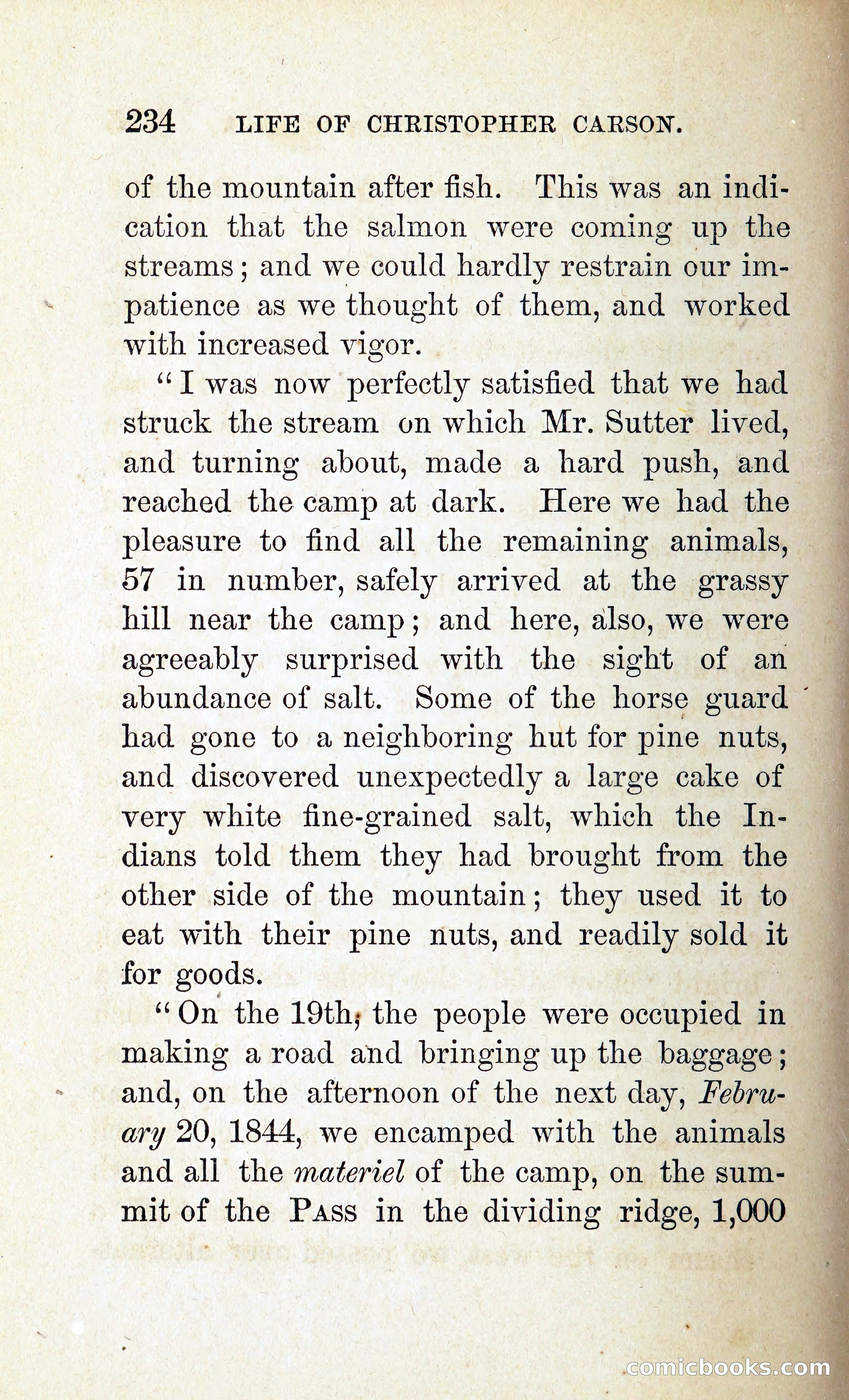 Kit Carson: The Life and Adventures of Christopher Carson — page 253 of 392