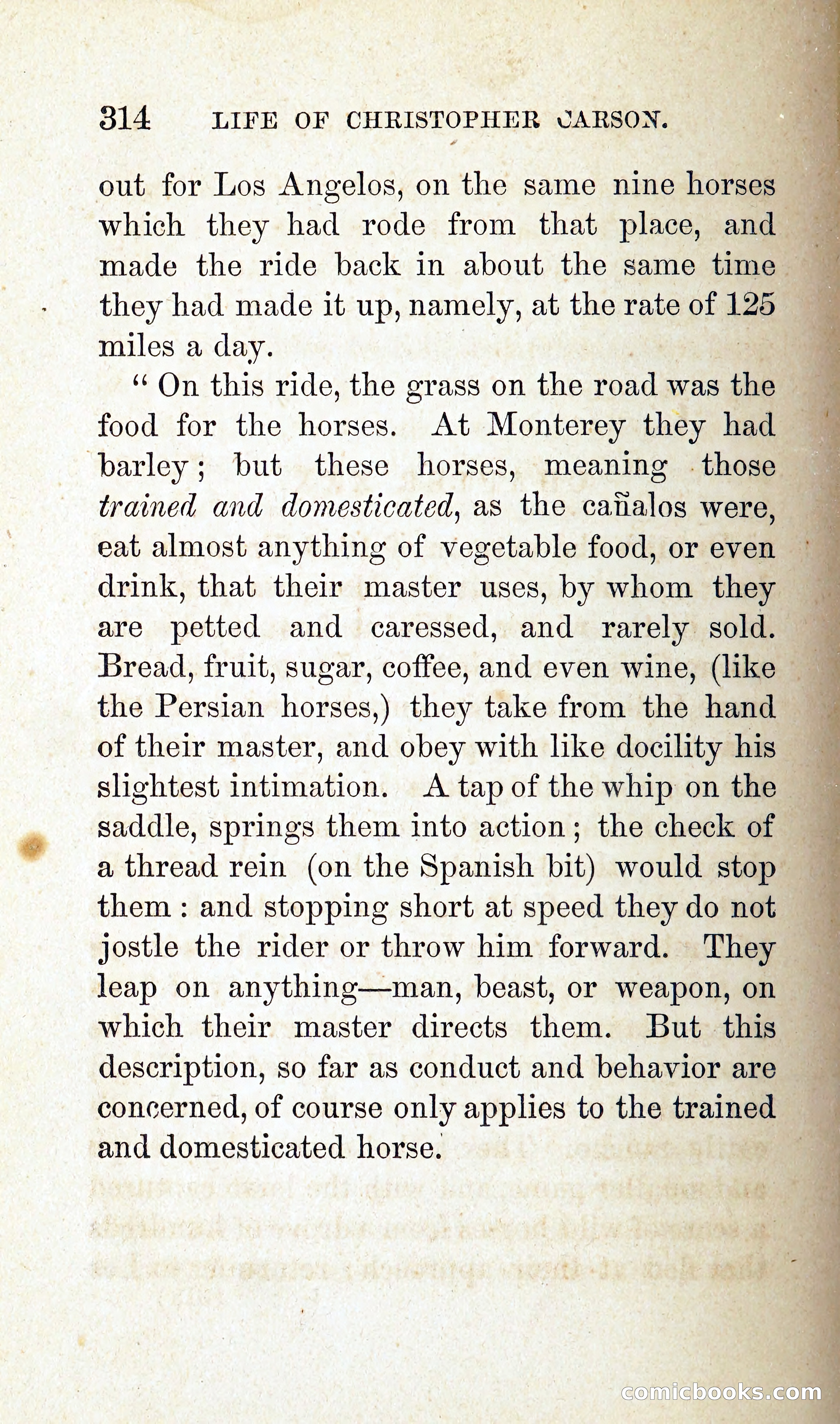 Kit Carson: The Life and Adventures of Christopher Carson — page 335 of 392