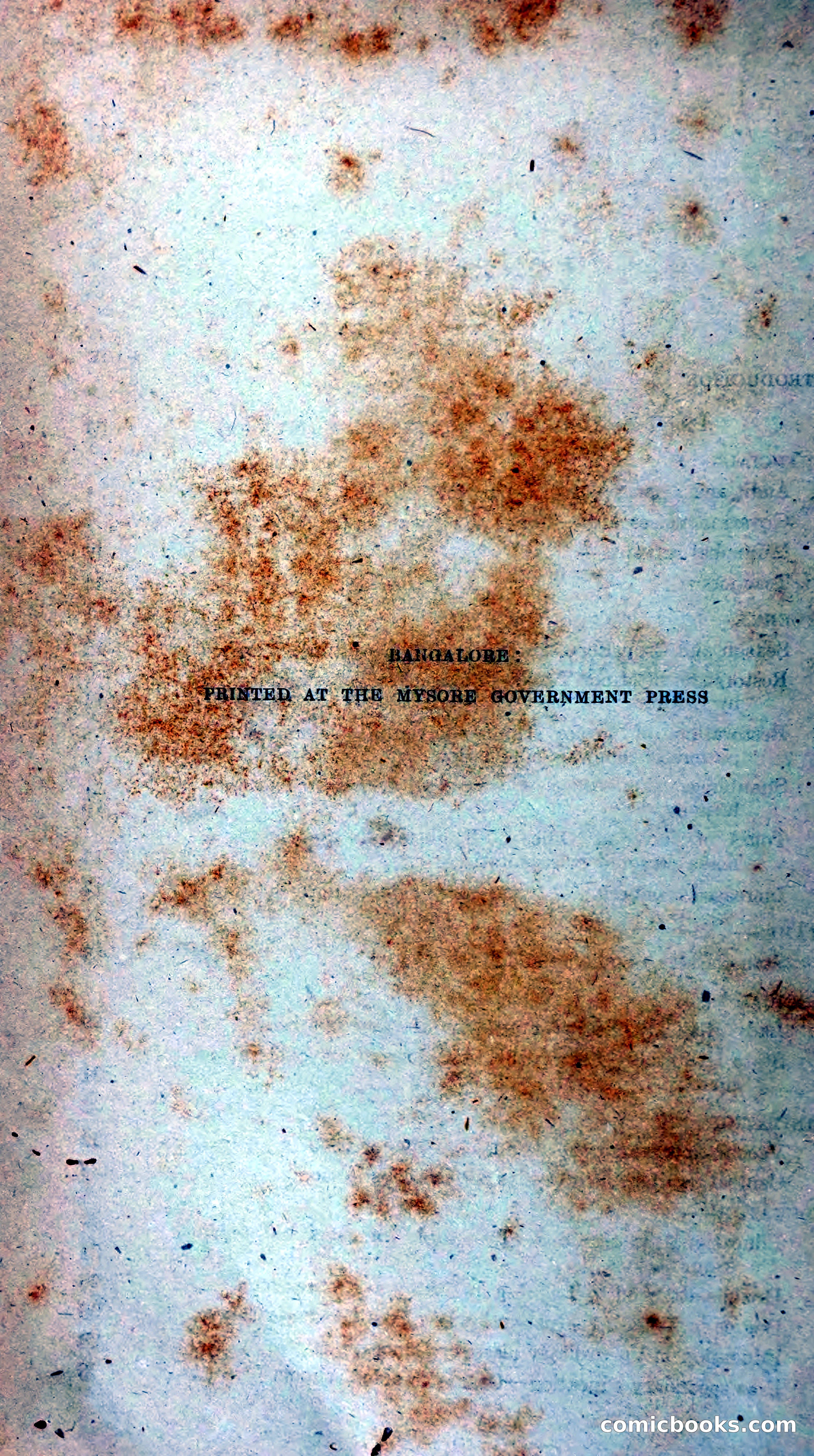 The Mysore Blue Book Journal — page 7 of 395