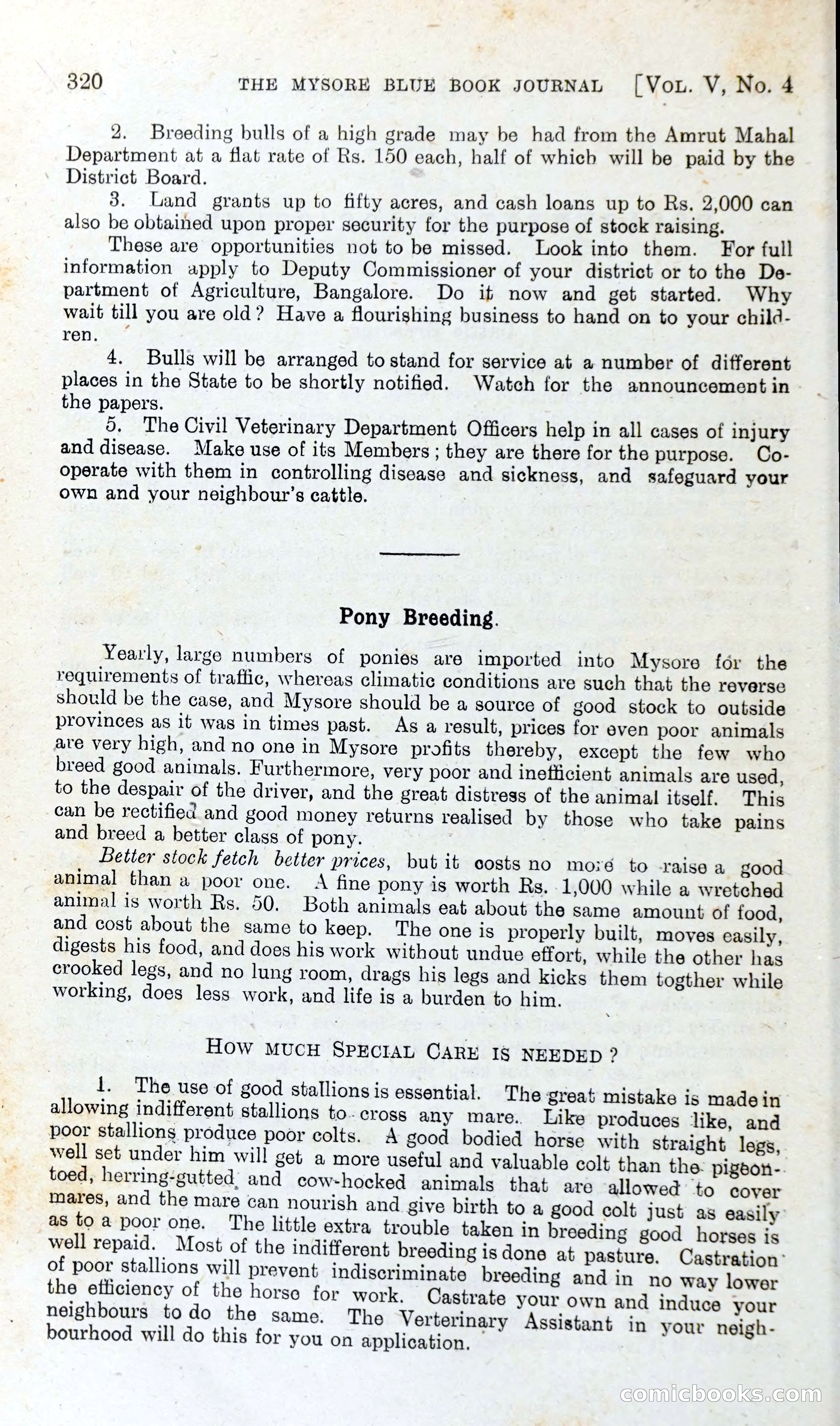 The Mysore Blue Book Journal — page 339 of 395