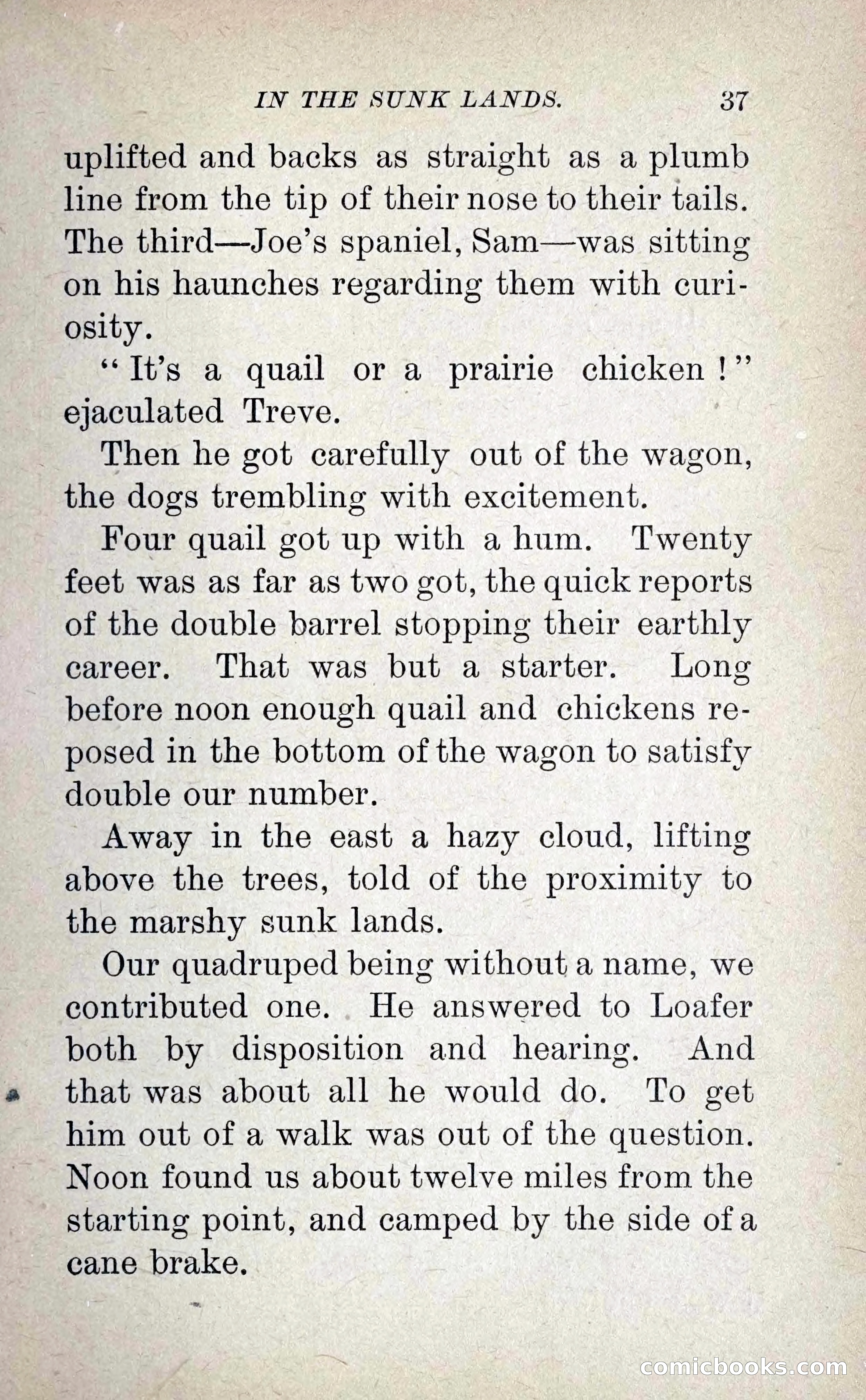 Leather-Clad Tales of Adventure and Romance No. 38 — page 41 of 288