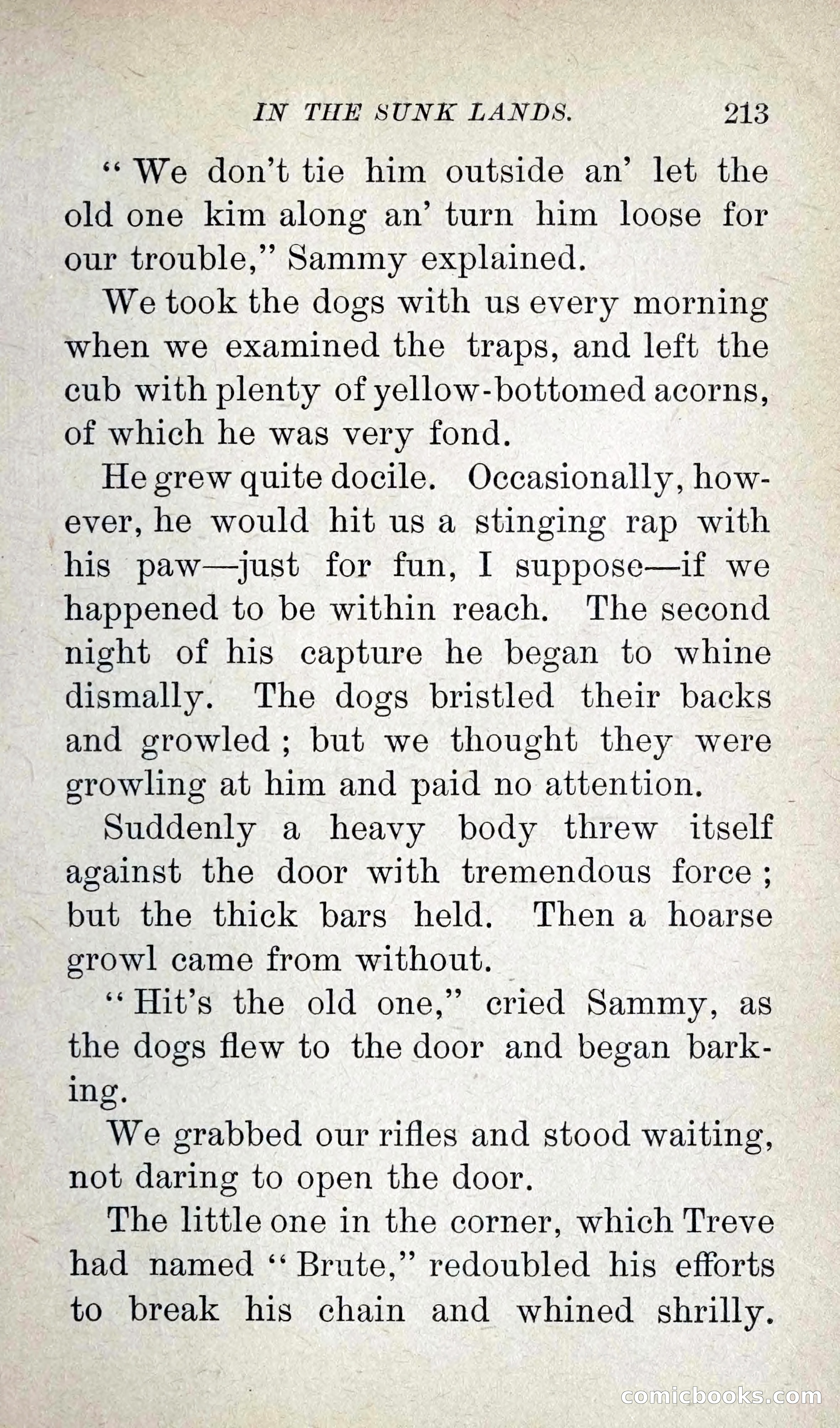 Leather-Clad Tales of Adventure and Romance No. 38 — page 223 of 288