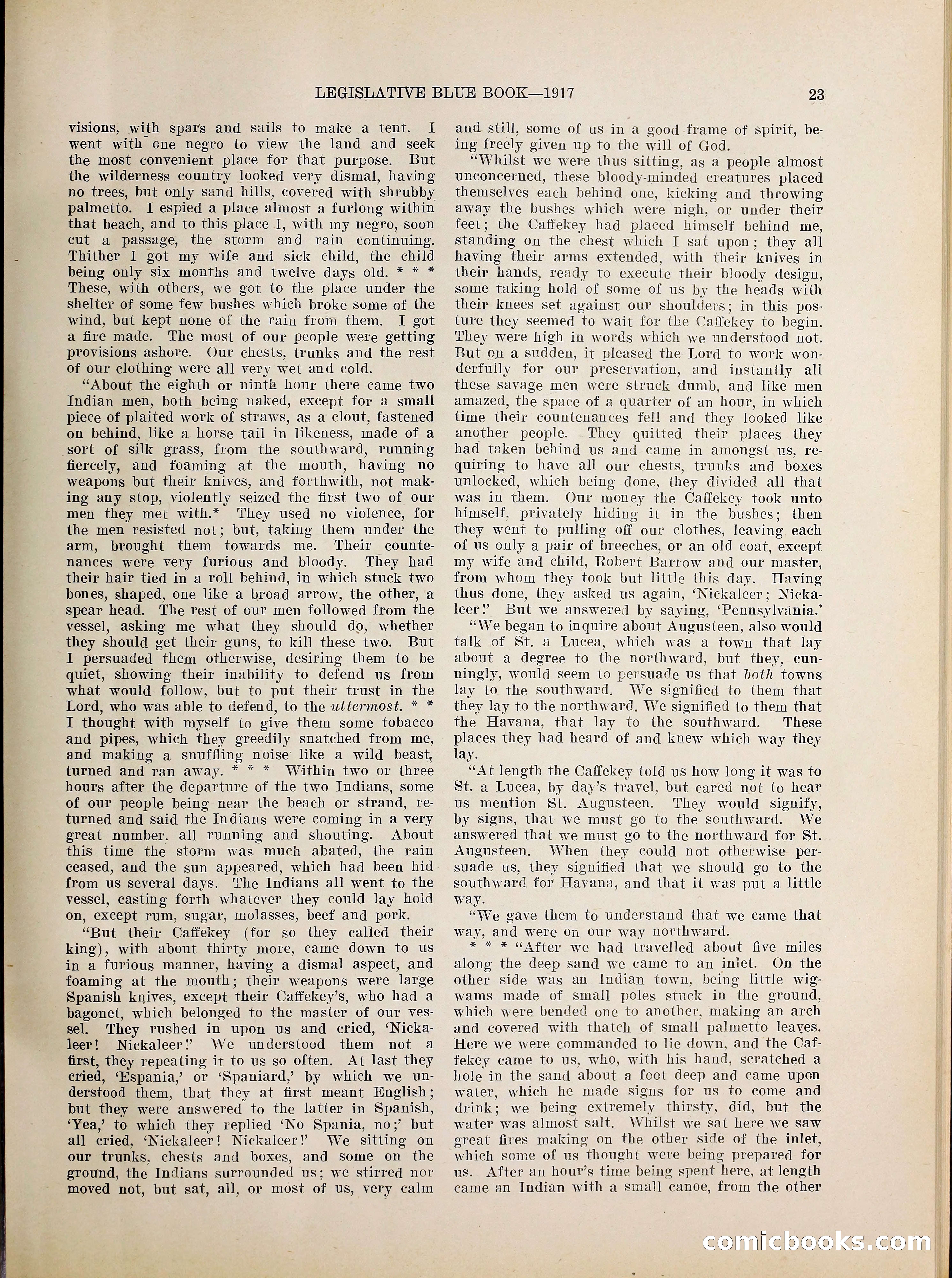 Legislative Blue Book, 1917 — page 32 of 148