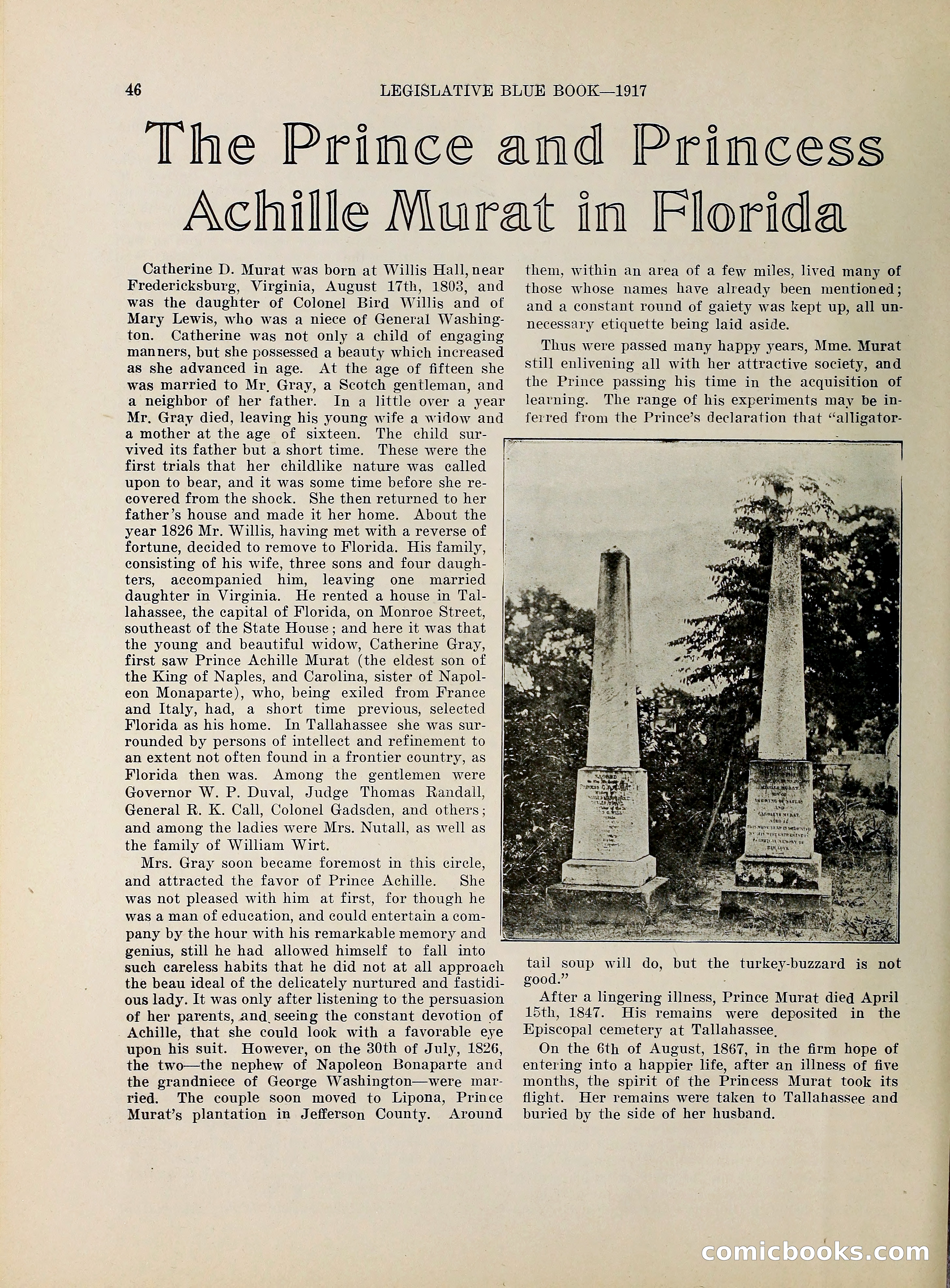 Legislative Blue Book, 1917 — page 55 of 148