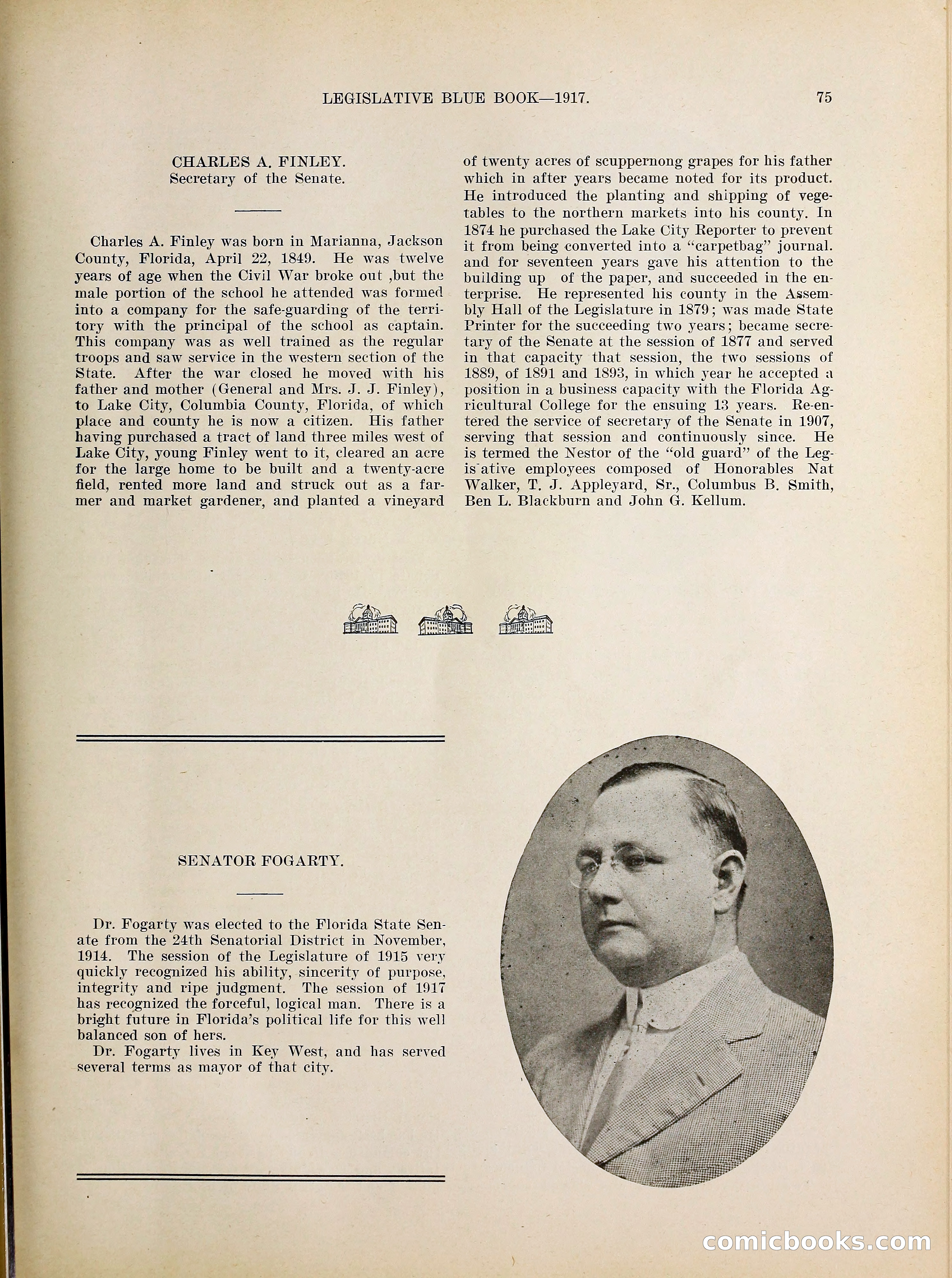 Legislative Blue Book, 1917 — page 84 of 148