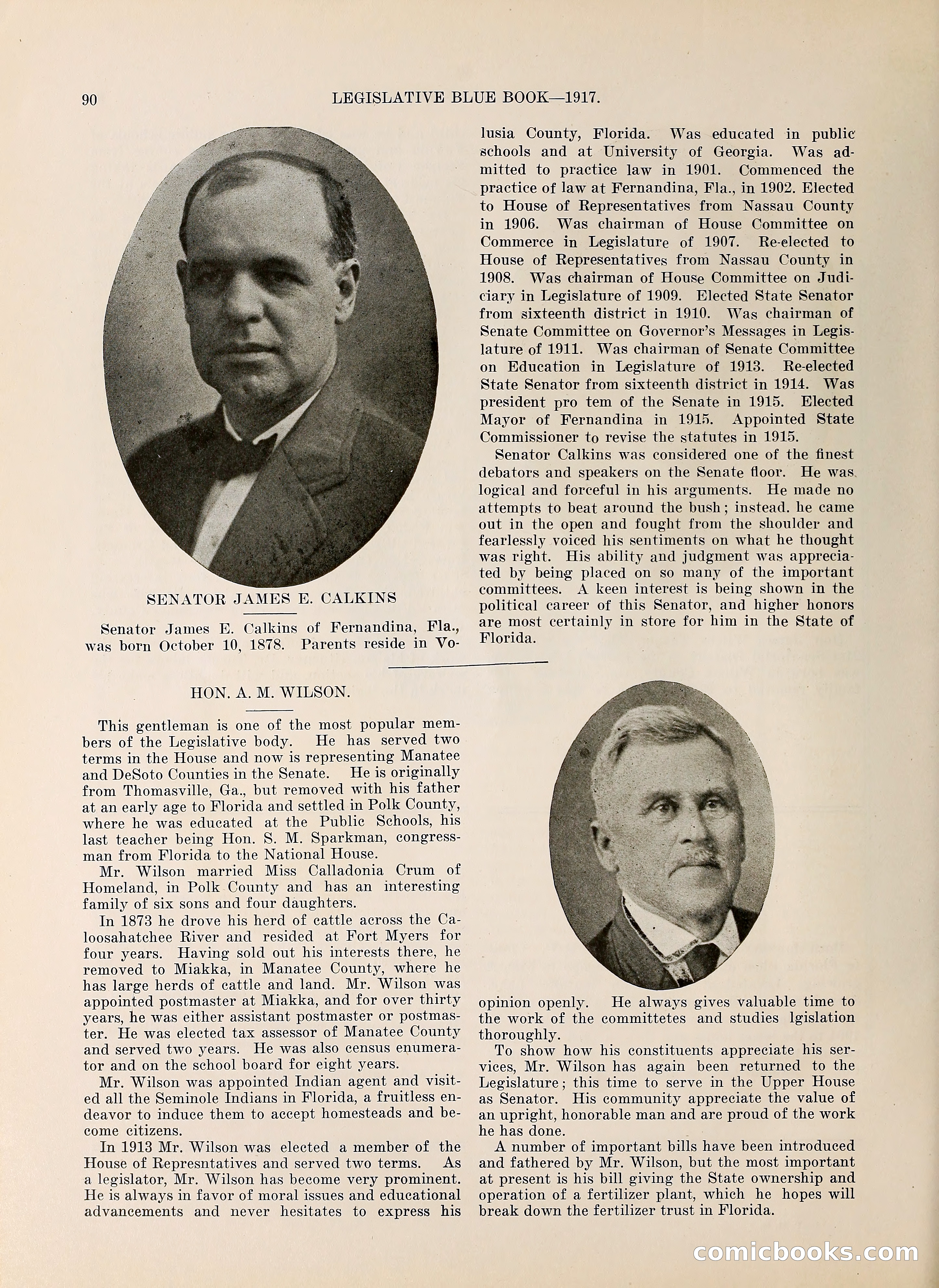 Legislative Blue Book, 1917 — page 99 of 148