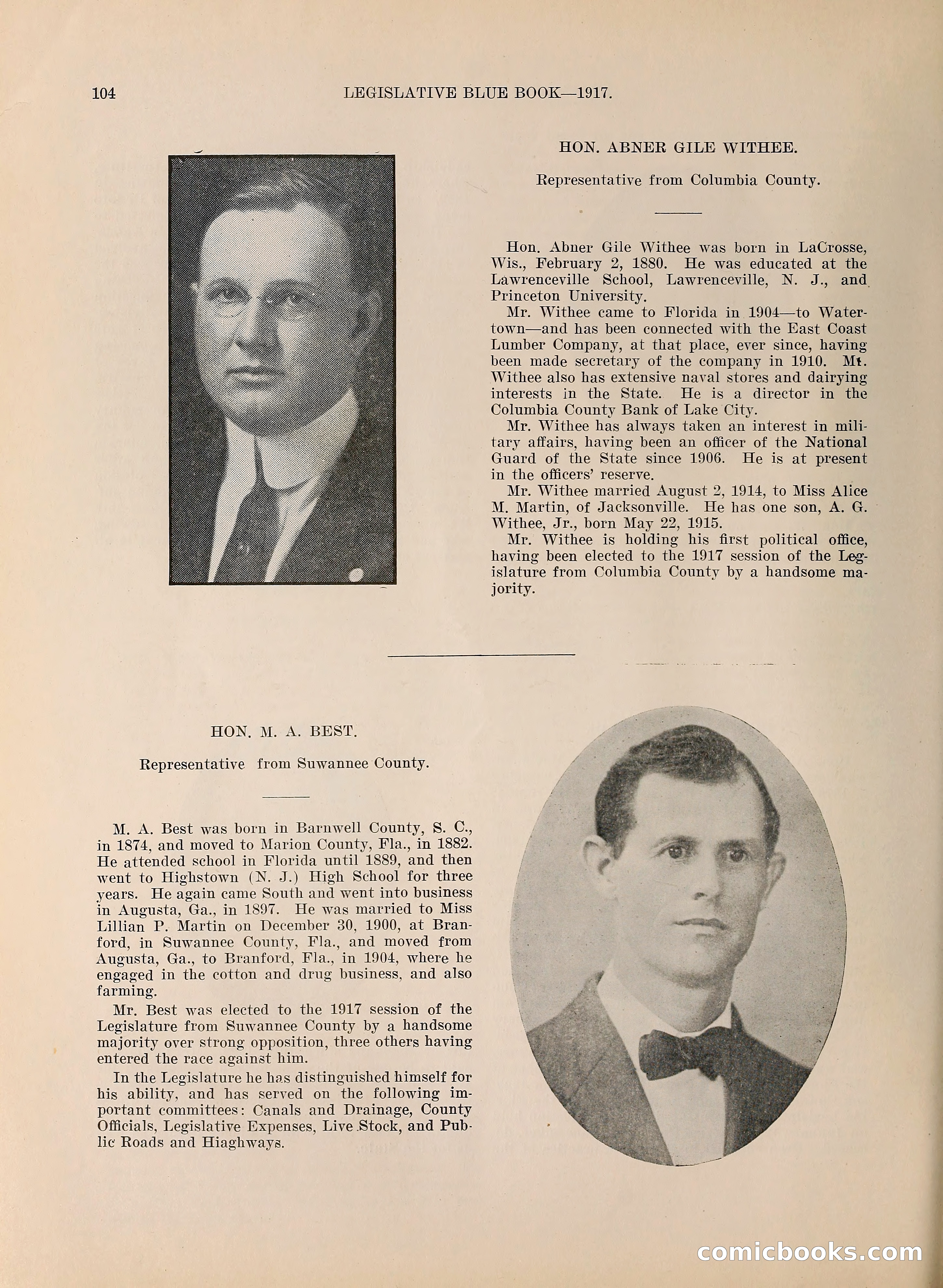 Legislative Blue Book, 1917 — page 113 of 148